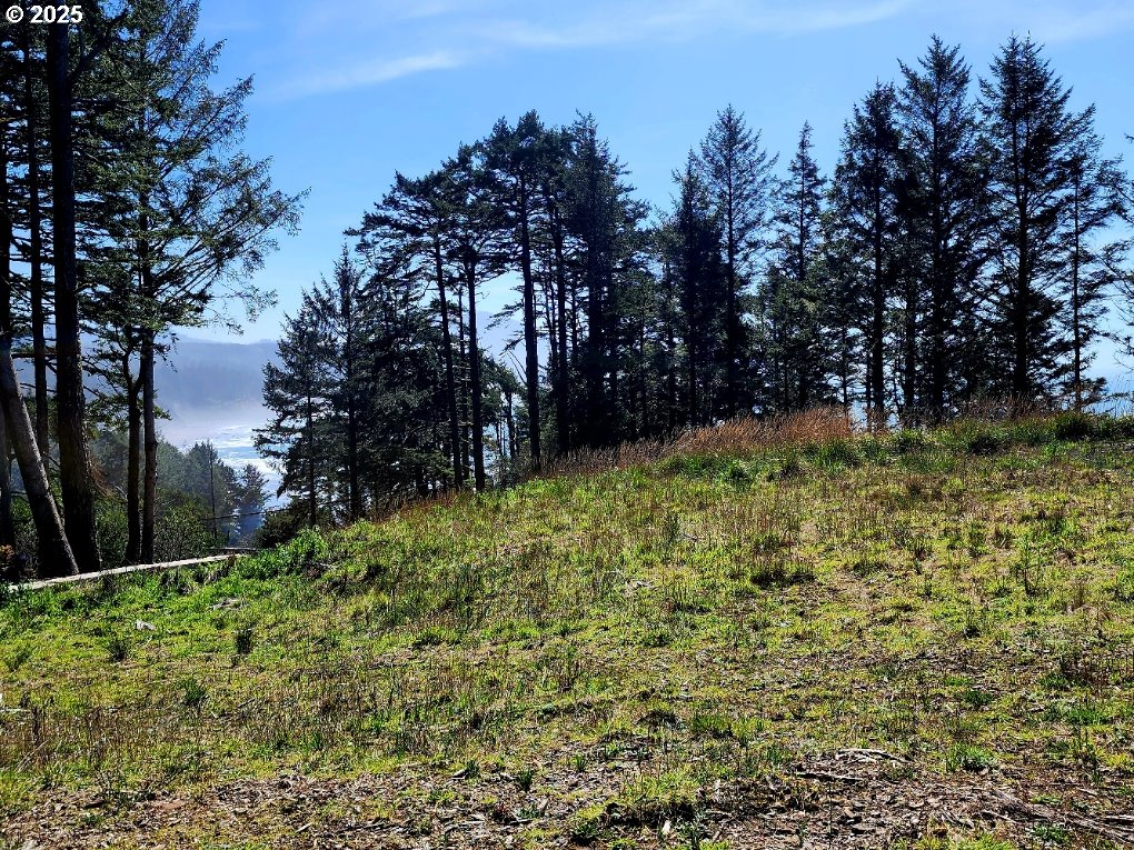 0 Sutherlin LN UNIT 01100, Eugene, OR, 97405