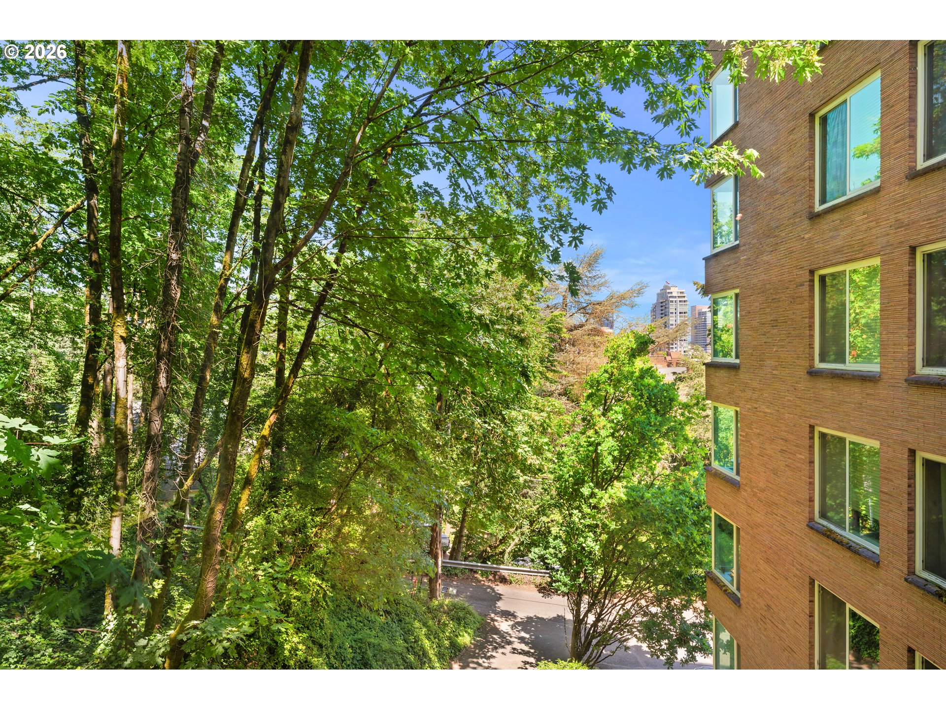Photo #13: 175537072 Listing: Photo #13