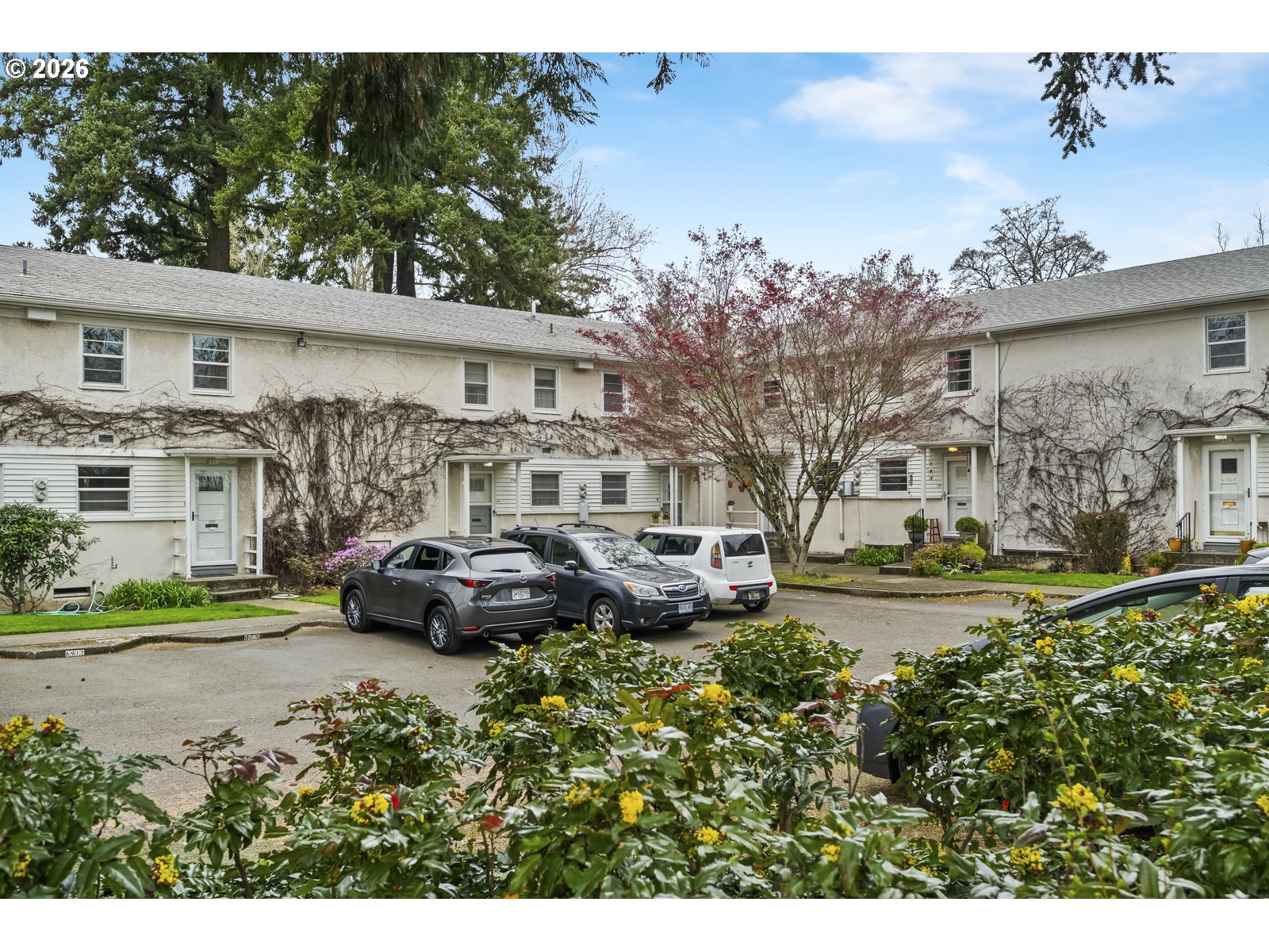 Photo #6: 176004117 Listing: Photo #6