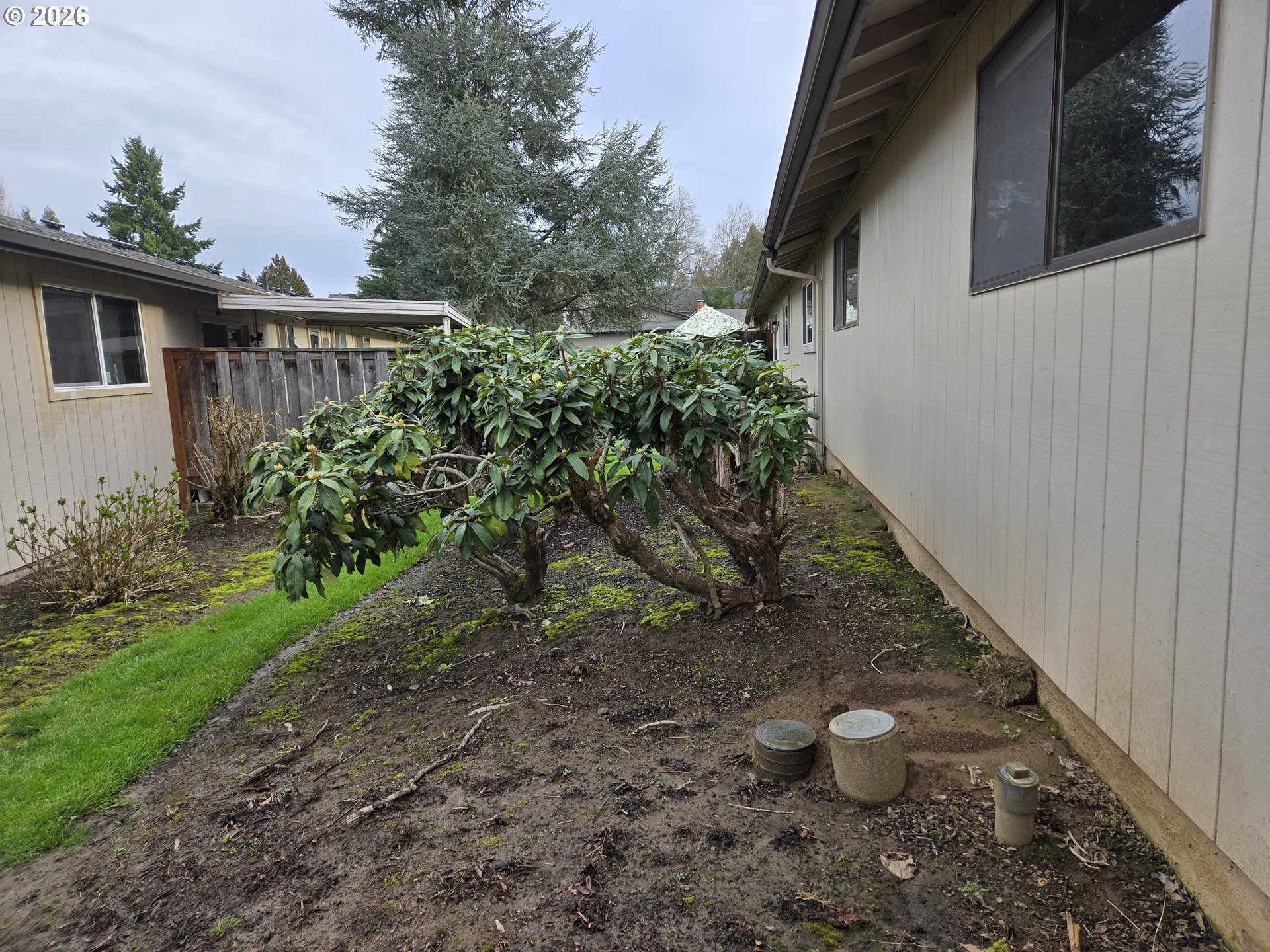 Photo #6: 176493202 Listing: Photo #6