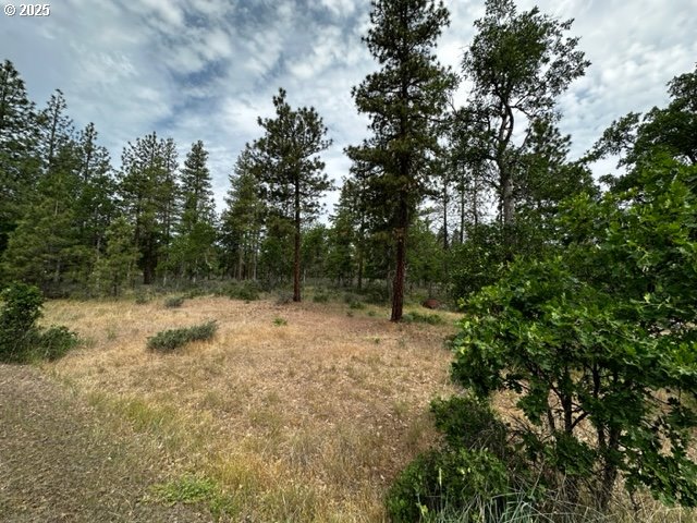 71 TEAL LN, Goldendale, WA, 98620