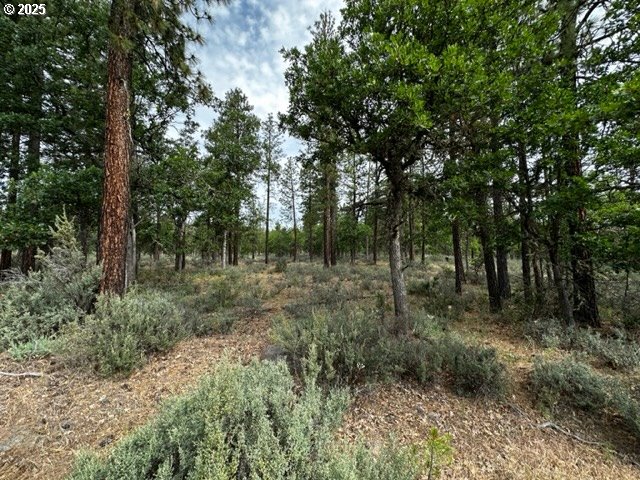 71 TEAL LN, Goldendale, WA, 98620