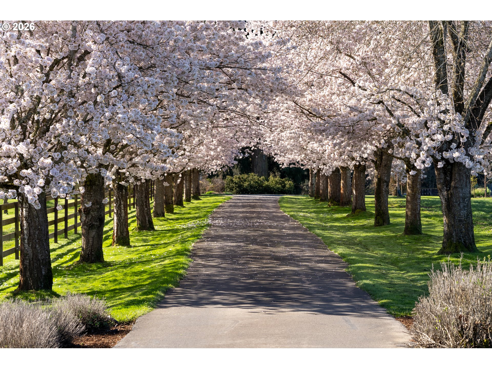 21200 SE OLD BETHEL RD, Amity, OR, 97101