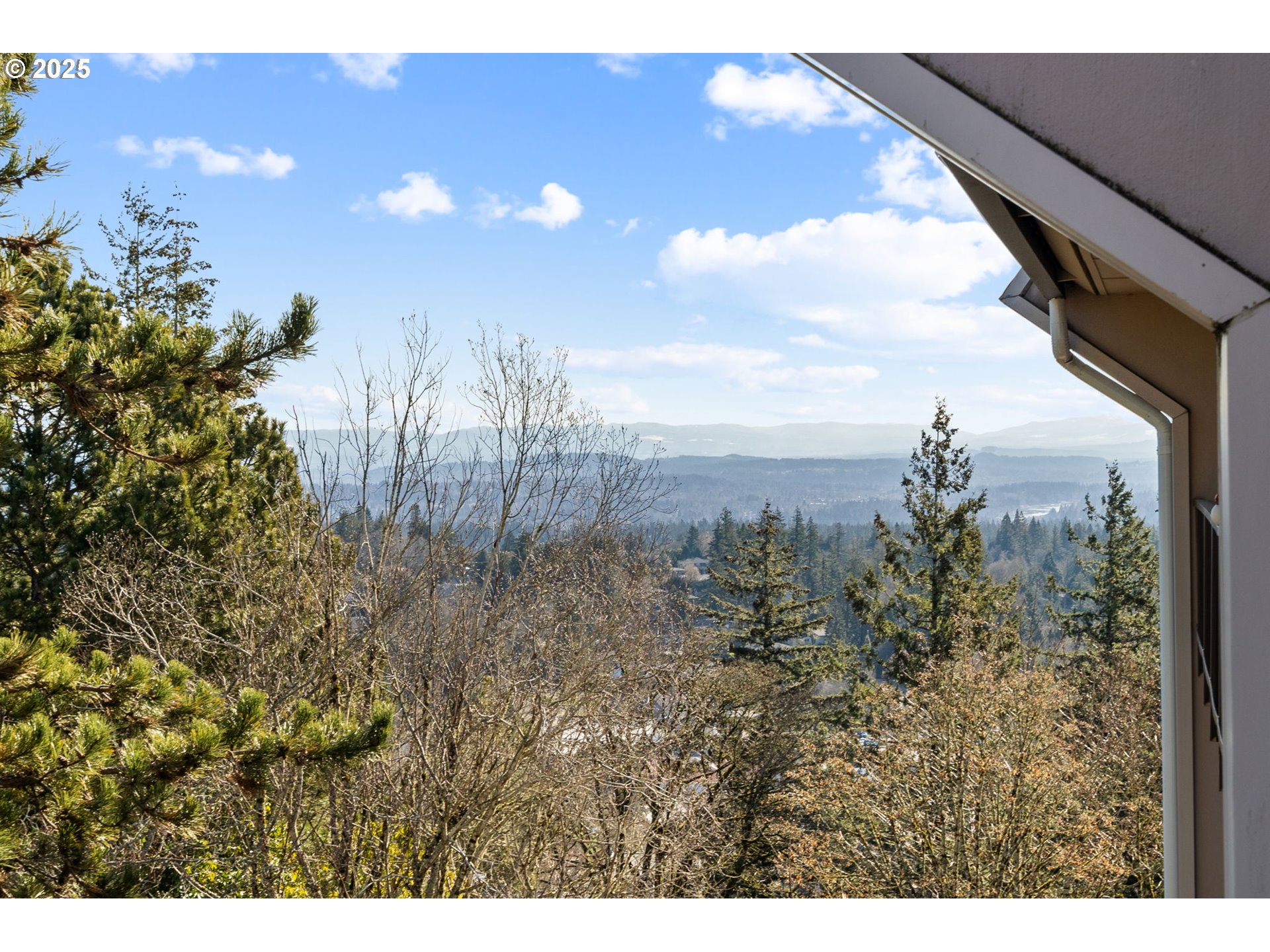 Photo #19: 178622505 Listing: Photo #19