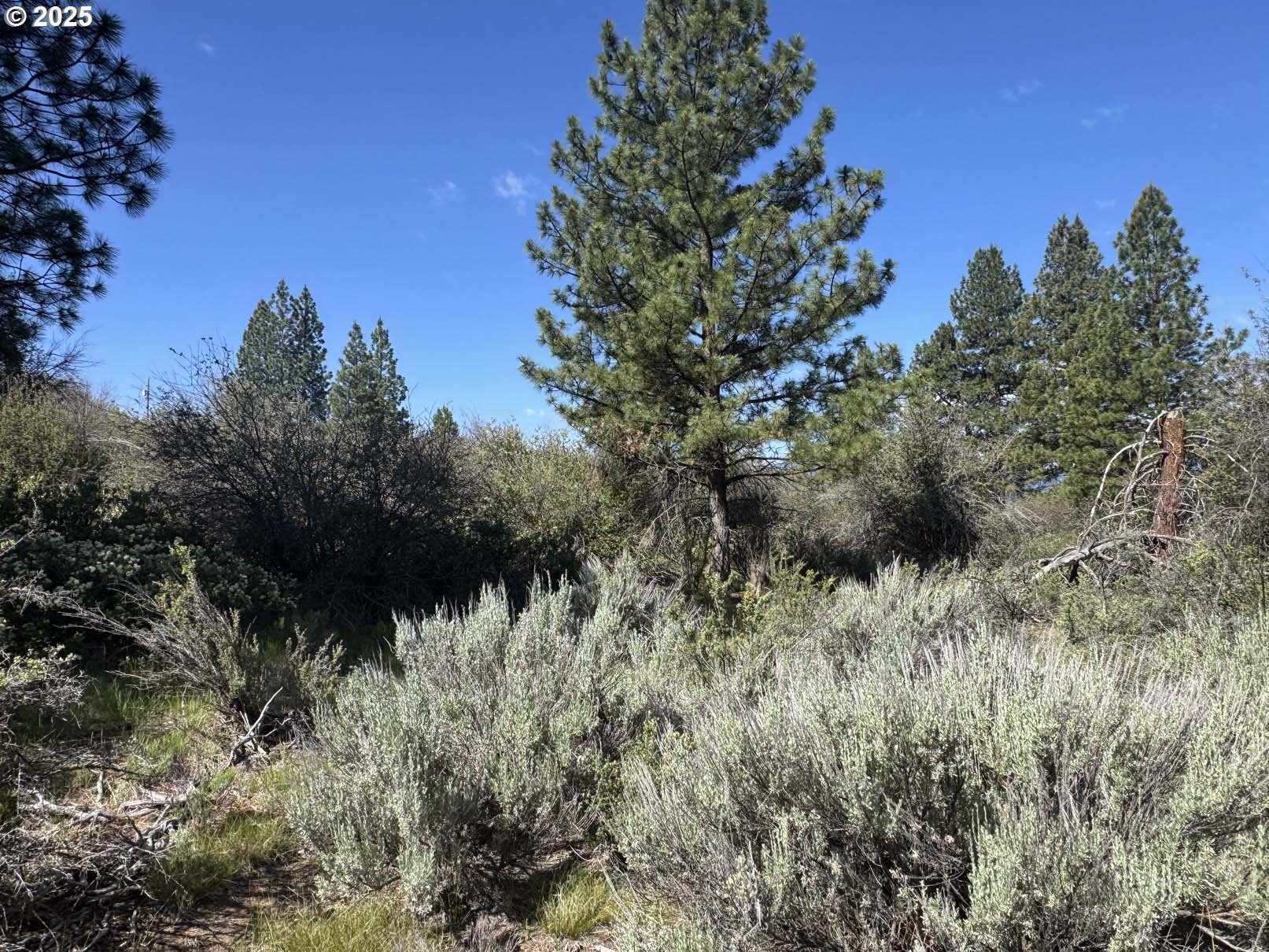 Lakeland Road UNIT 17, Chiloquin, OR, 97624