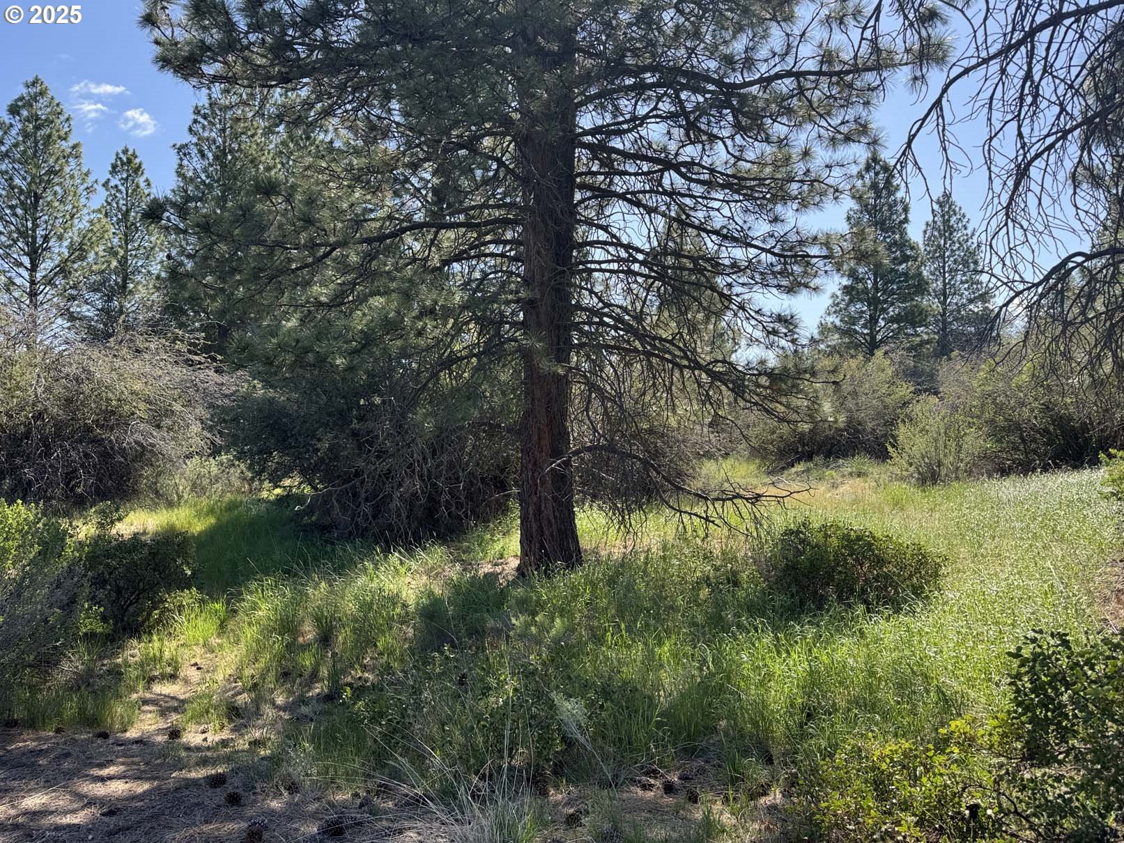 Lakeland Road UNIT 17, Chiloquin, OR, 97624