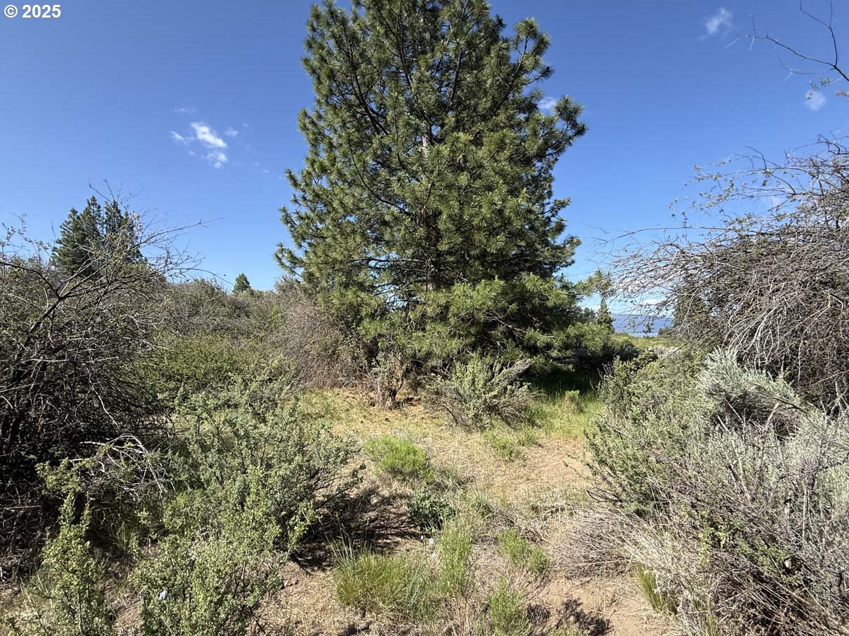 Lakeland Road UNIT 17, Chiloquin, OR, 97624