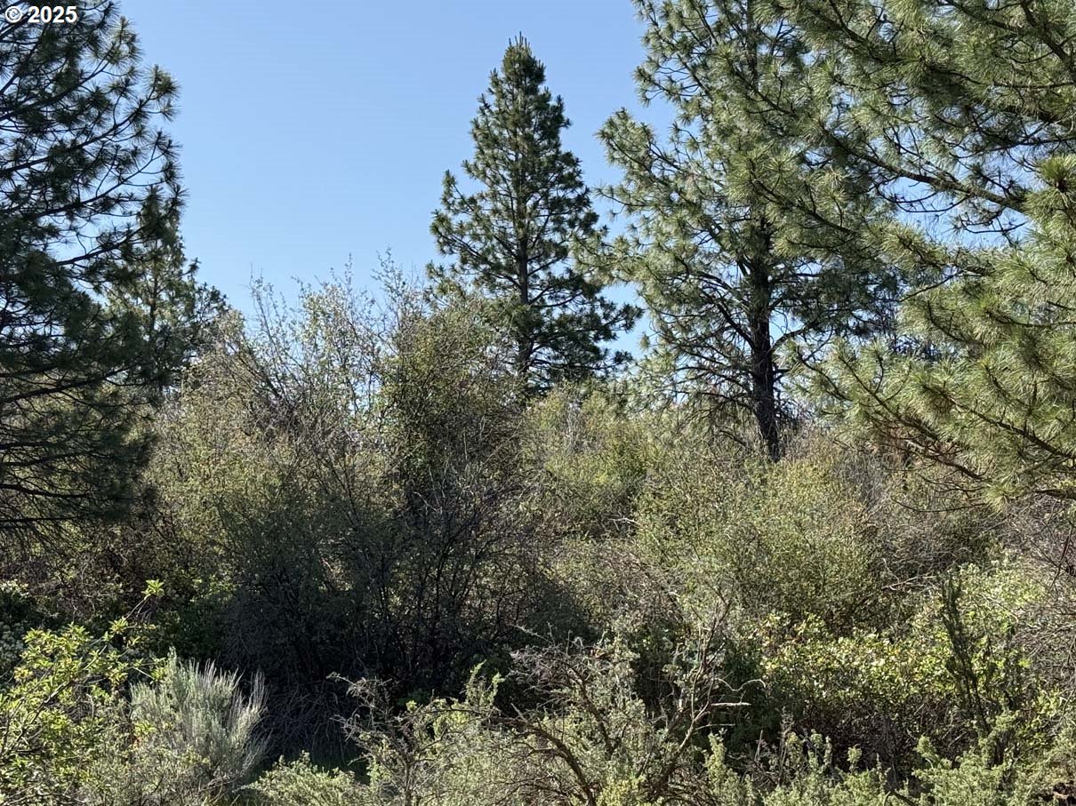 Lakeland Road UNIT 17, Chiloquin, OR, 97624