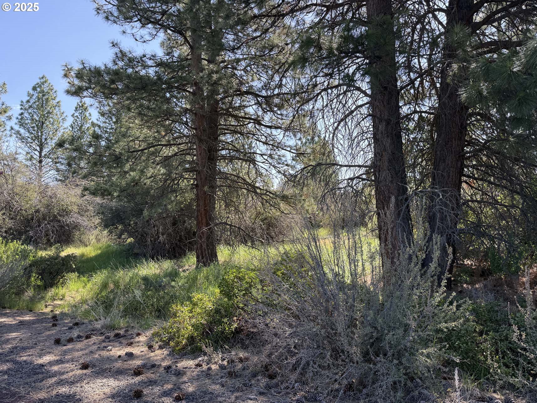 Lakeland Road UNIT 17, Chiloquin, OR, 97624