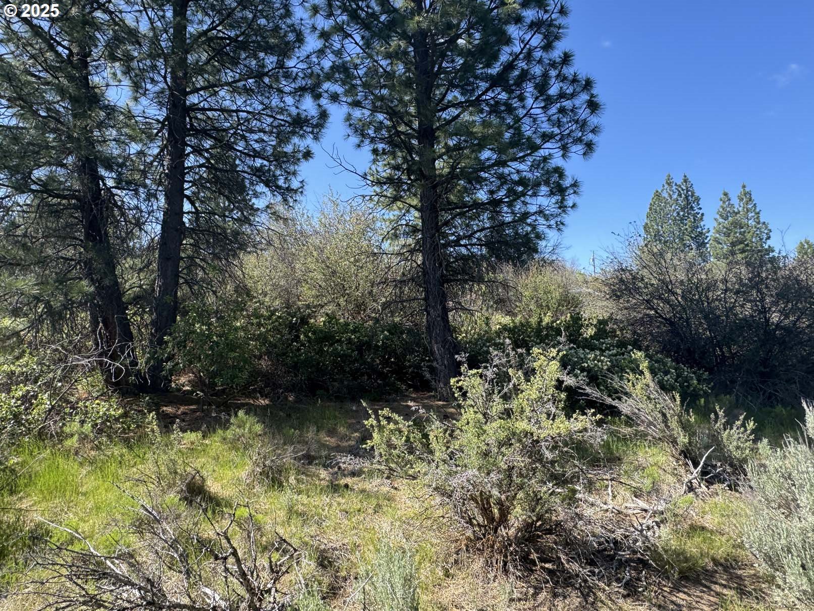 Lakeland Road UNIT 17, Chiloquin, OR, 97624