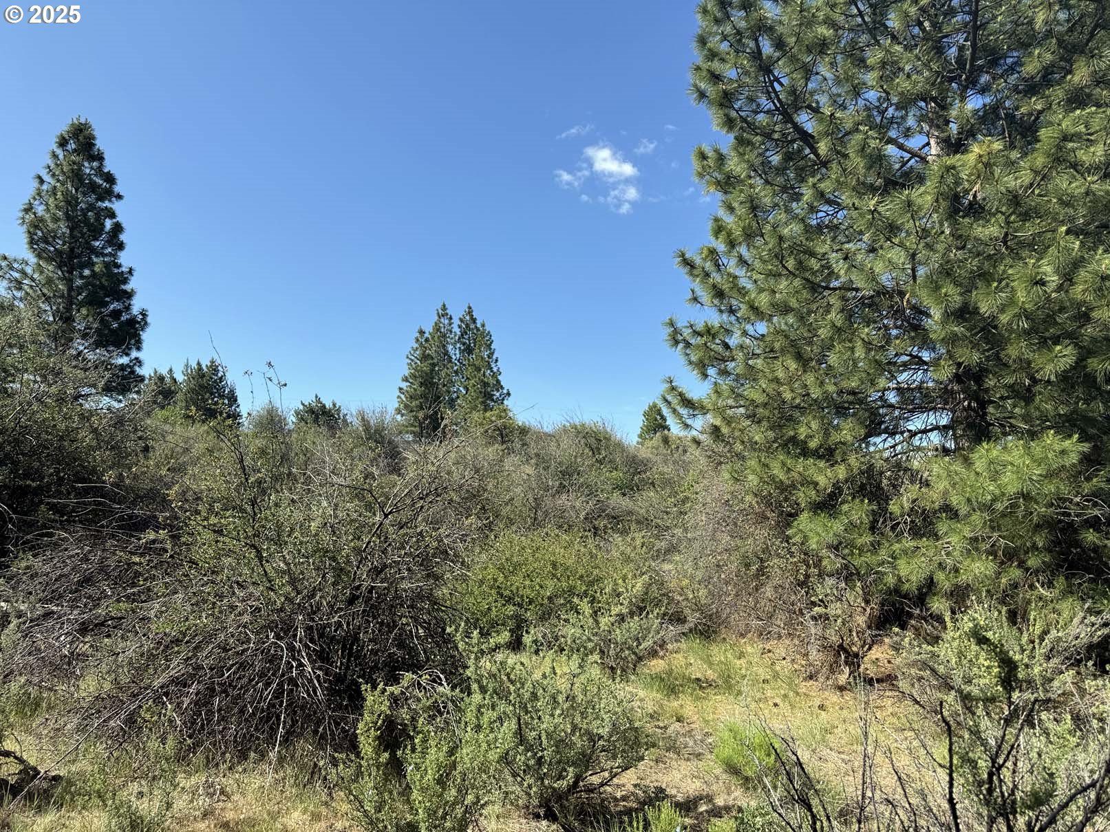 Lakeland Road UNIT 17, Chiloquin, OR, 97624