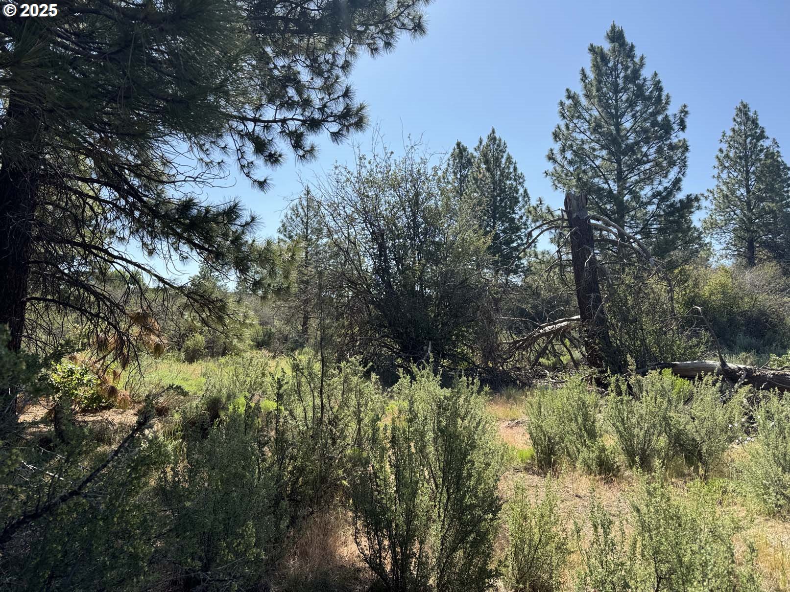 Lakeland Road UNIT 17, Chiloquin, OR, 97624