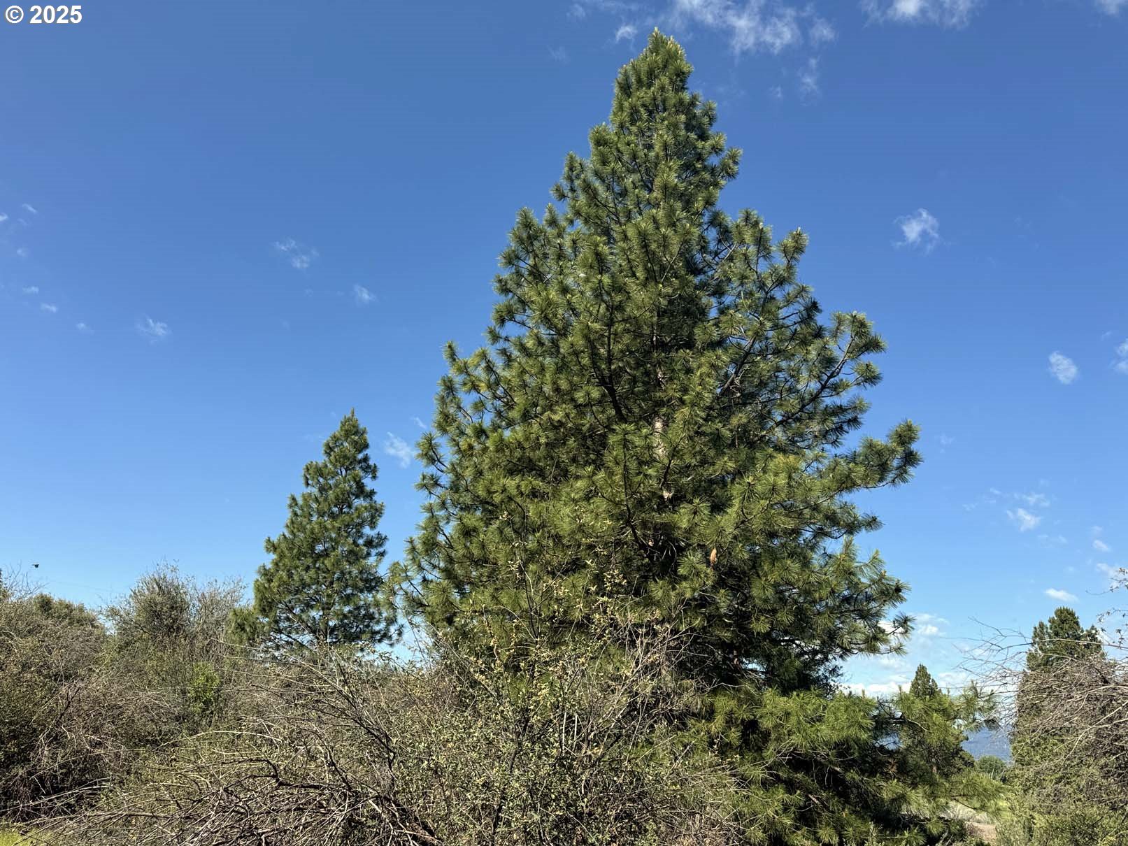 Lakeland Road UNIT 17, Chiloquin, OR, 97624