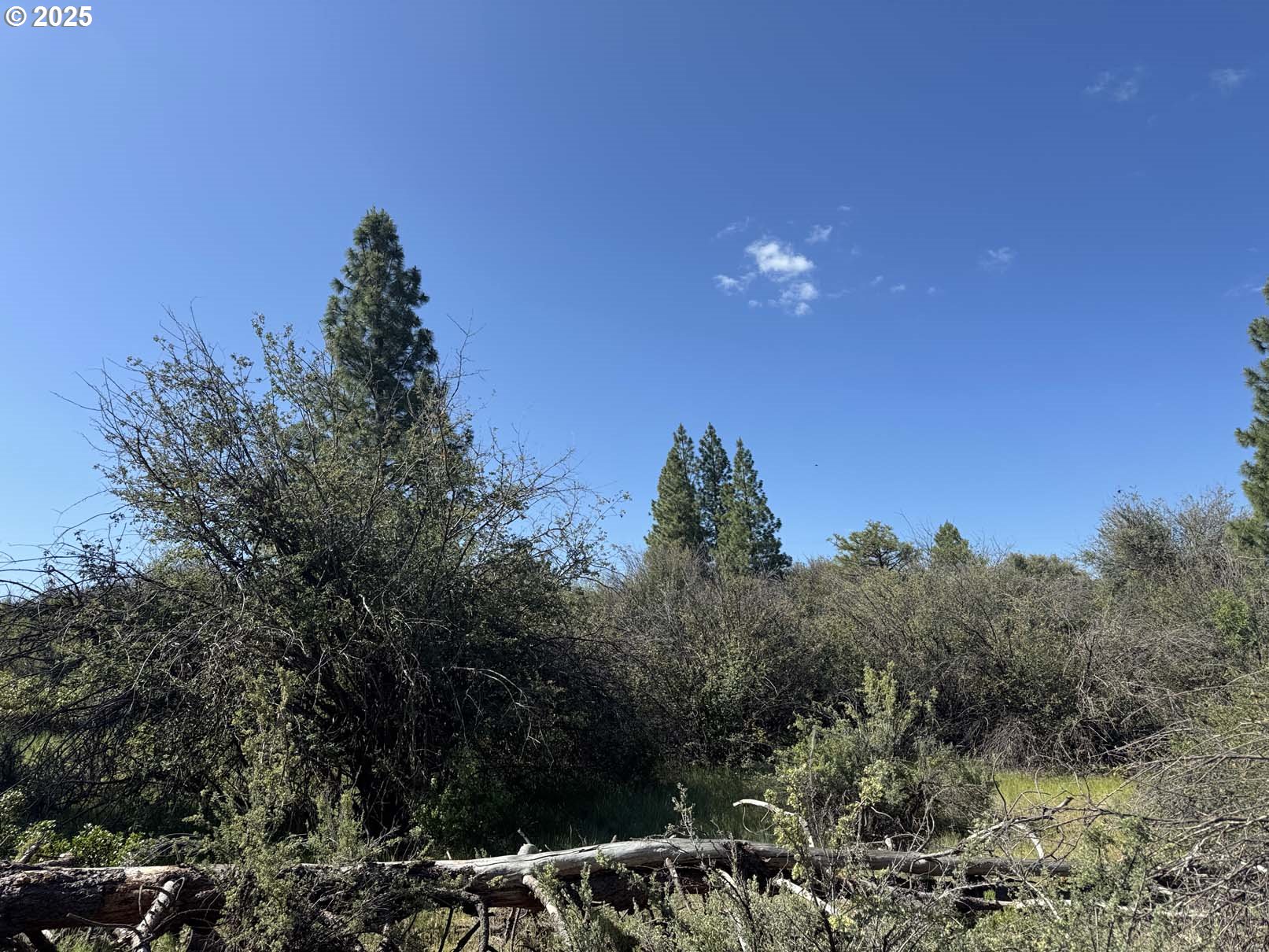 Lakeland Road UNIT 17, Chiloquin, OR, 97624