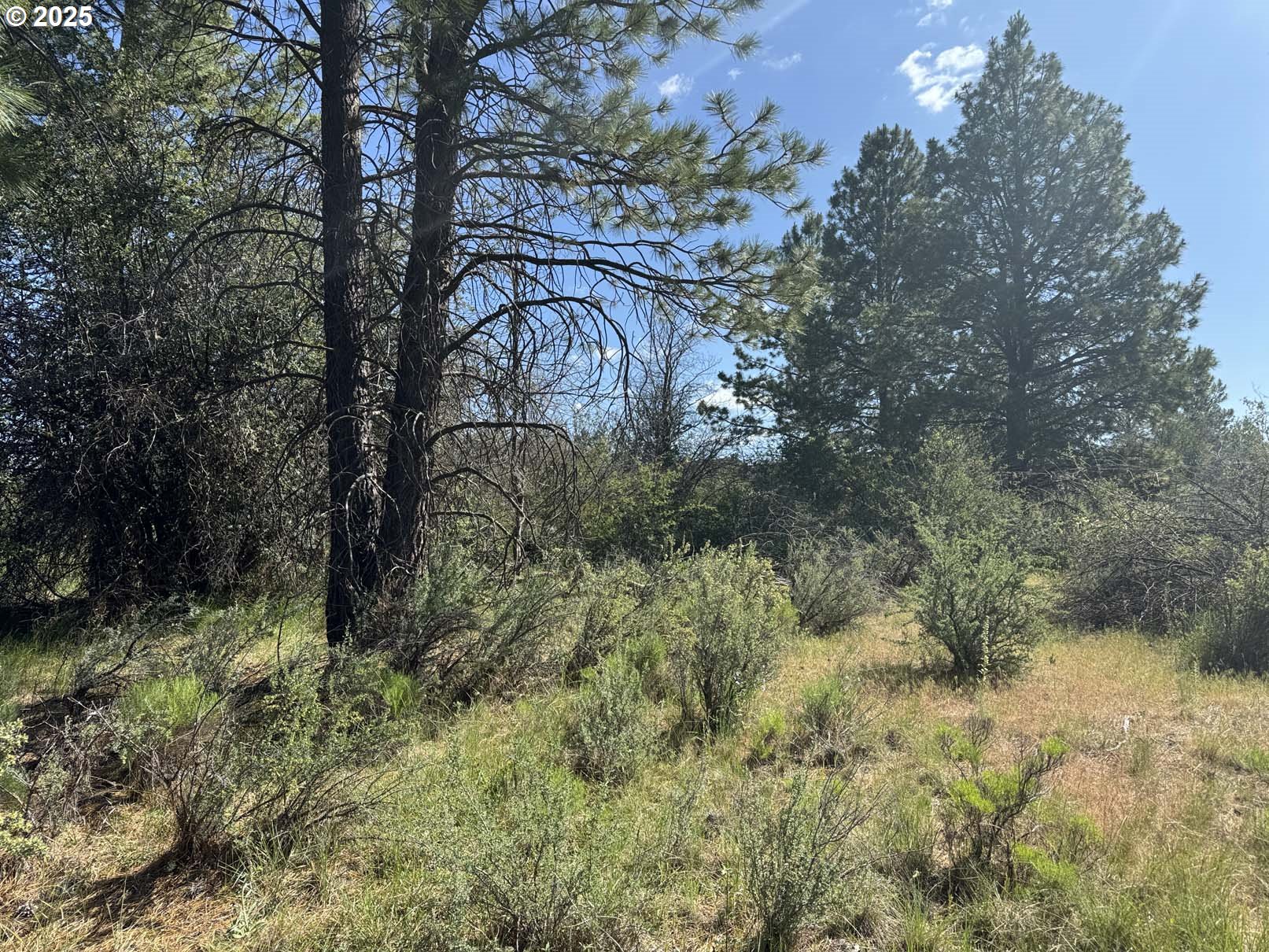 Lakeland Road UNIT 17, Chiloquin, OR, 97624