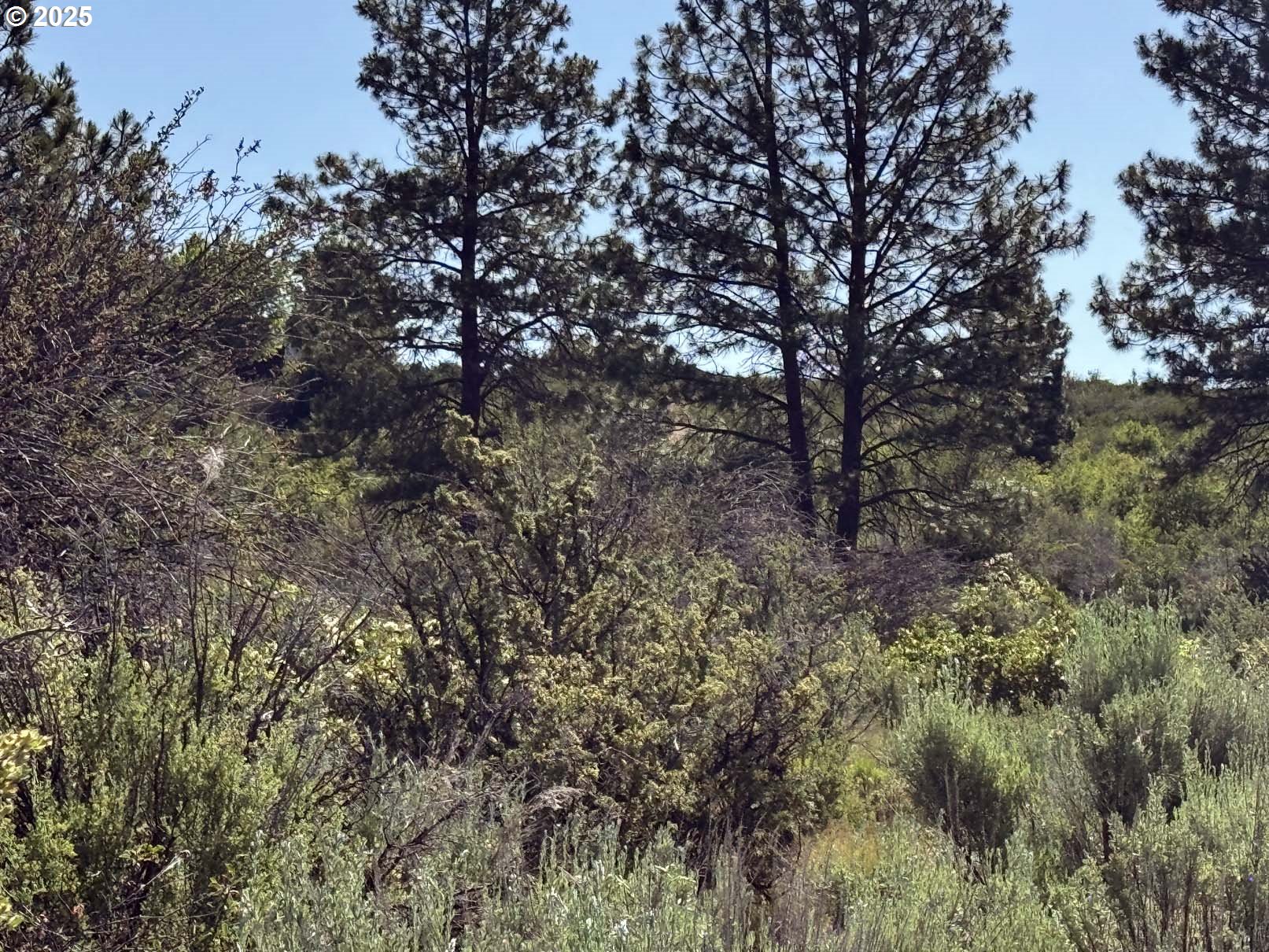 Lakeland Road UNIT 17, Chiloquin, OR, 97624