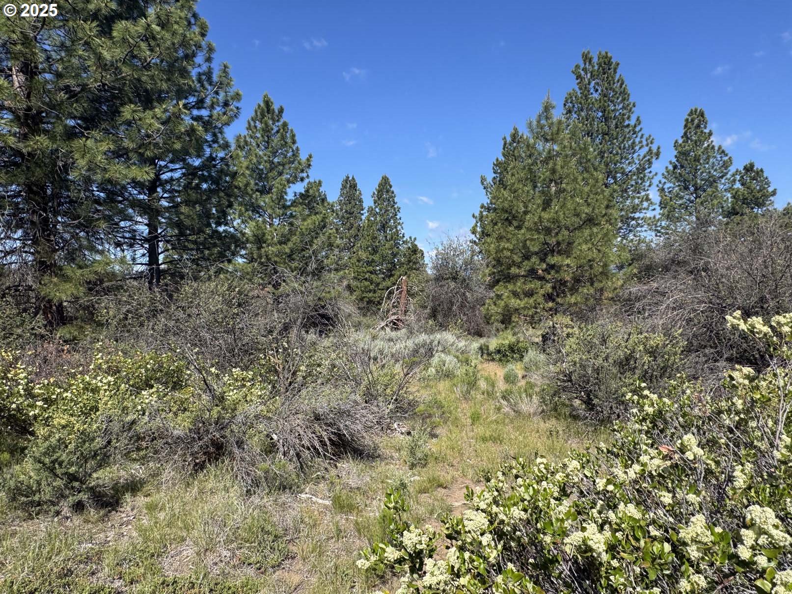 Lakeland Road UNIT 17, Chiloquin, OR, 97624