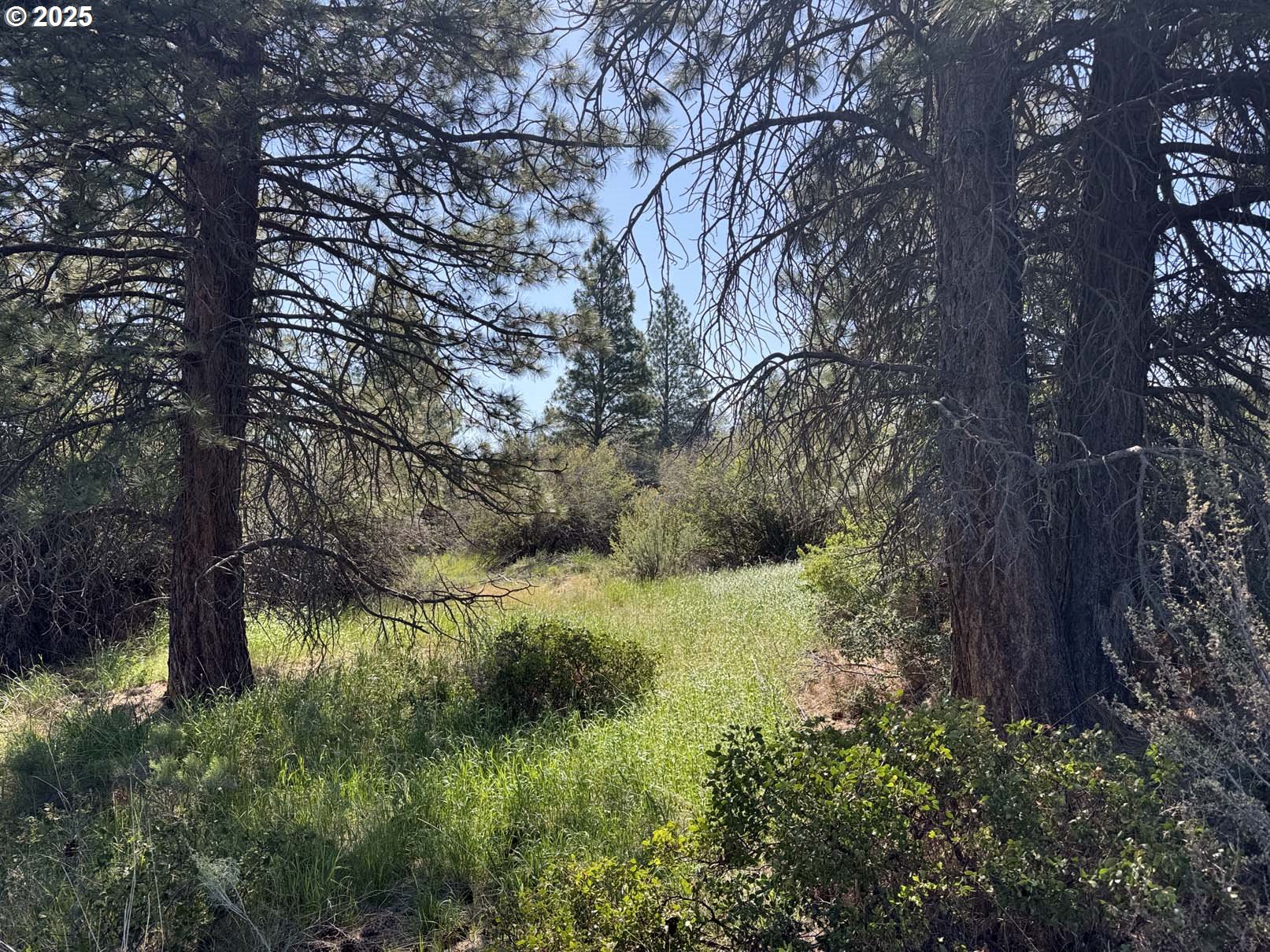 Lakeland Road UNIT 17, Chiloquin, OR, 97624