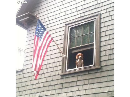 Photo #43: 179098635 Listing: Photo #43