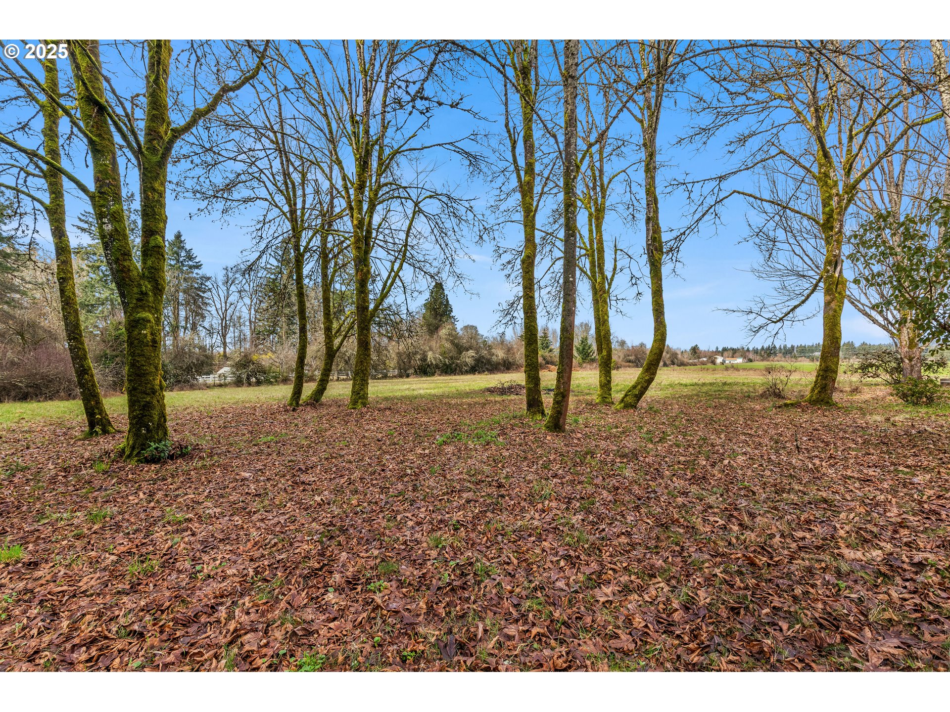 Homes on Acreage