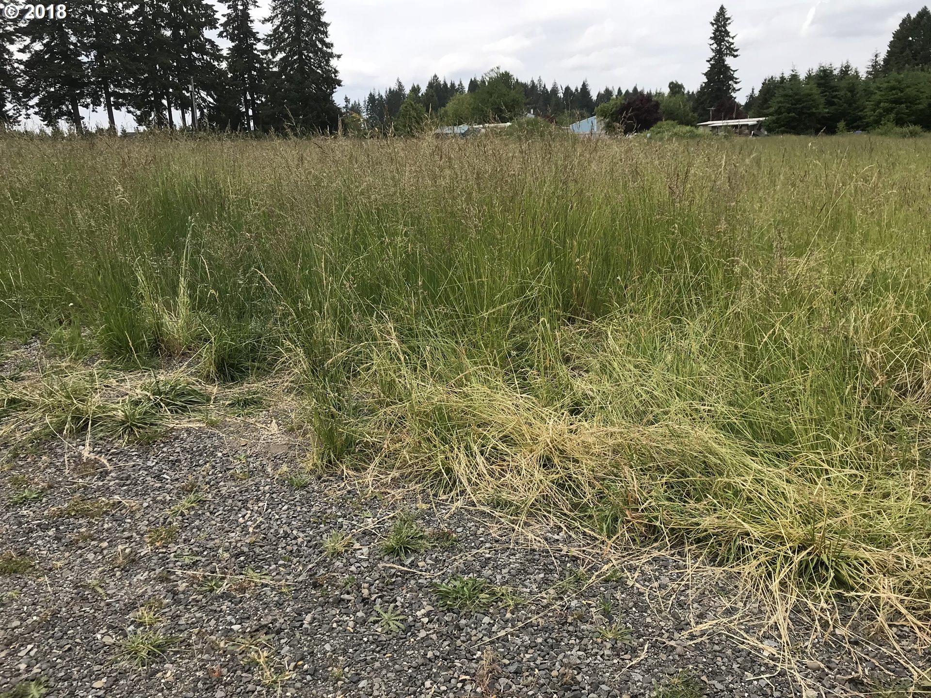 Search Homes for Sale