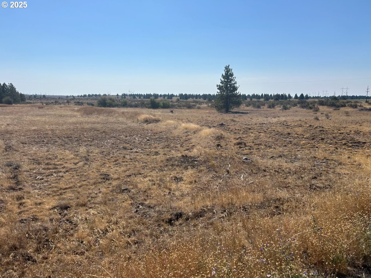 Search Homes for Sale