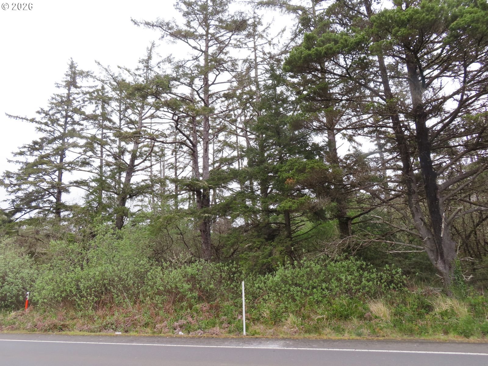 Search Homes for Sale