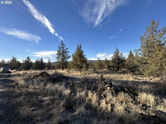 Search Homes for Sale