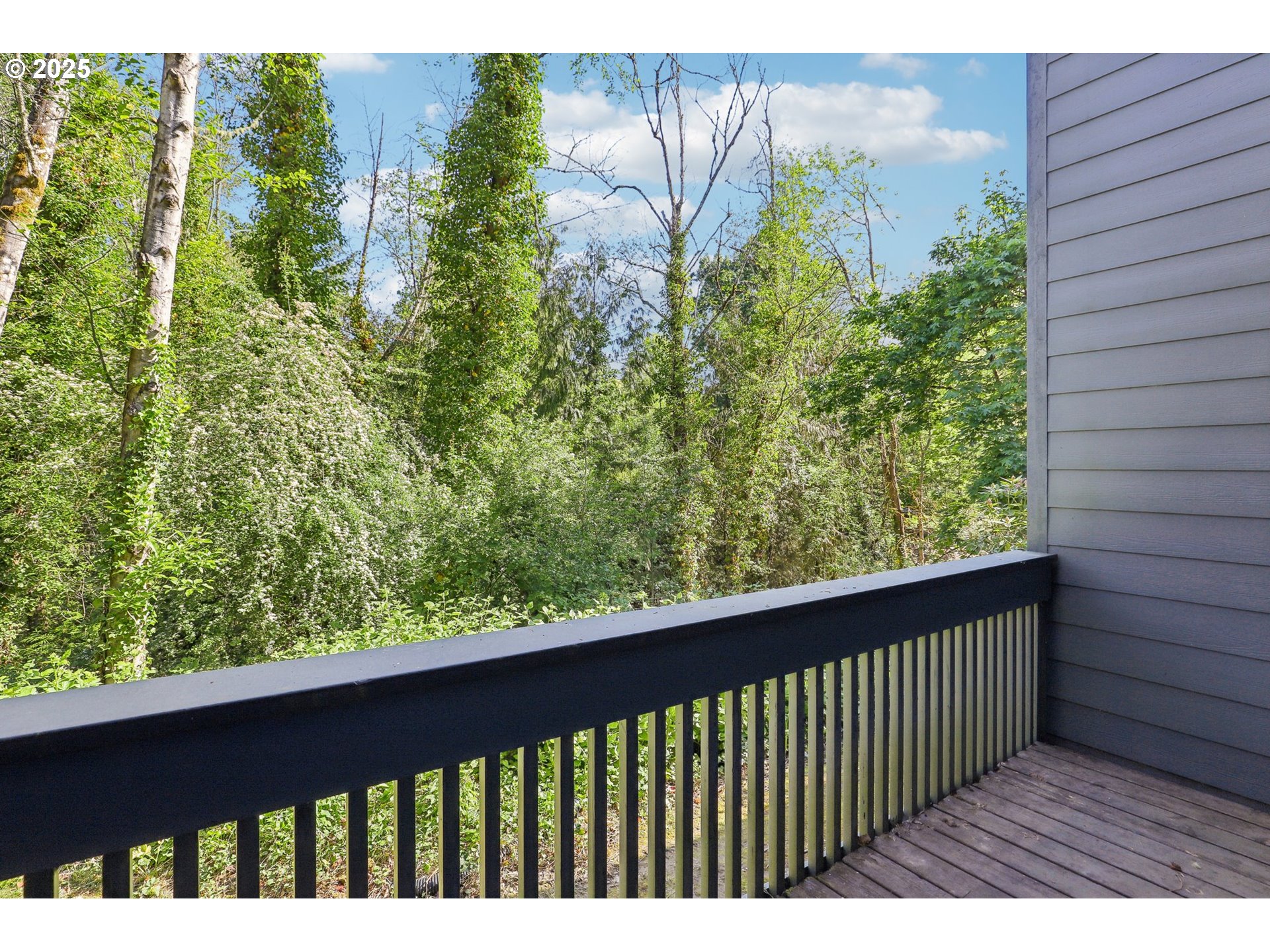 Photo #40: 184754615 Listing: Photo #40