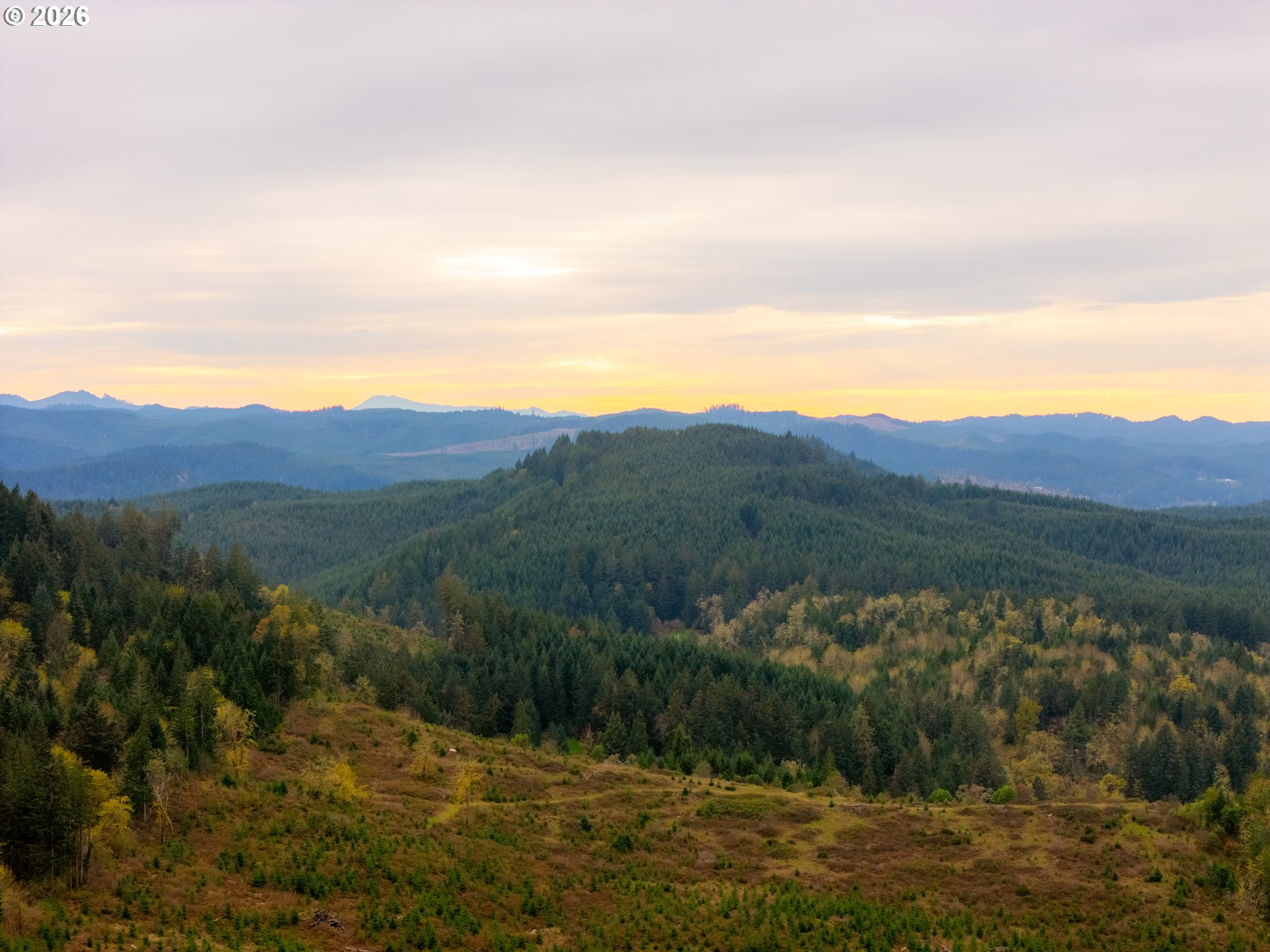 00 Erickson (TL300) RD UNIT 300, Eugene, OR, 97405