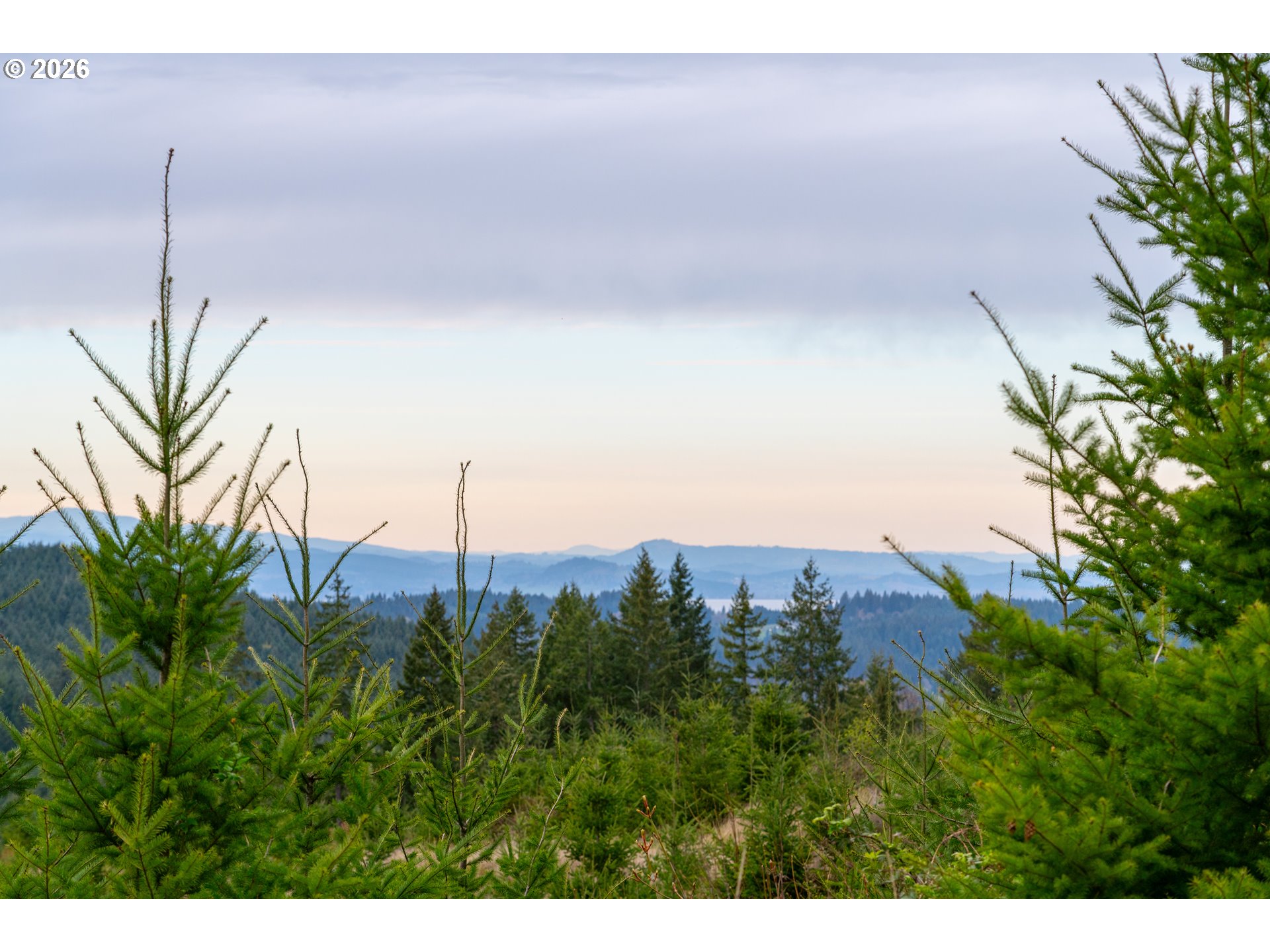 00 Erickson (TL300) RD UNIT 300, Eugene, OR, 97405