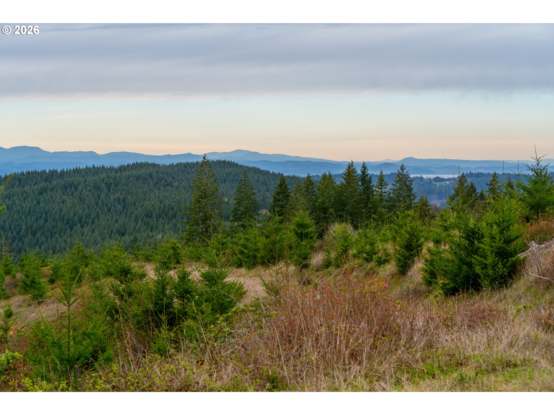 00 Erickson (TL300) RD UNIT 300, Eugene, OR, 97405