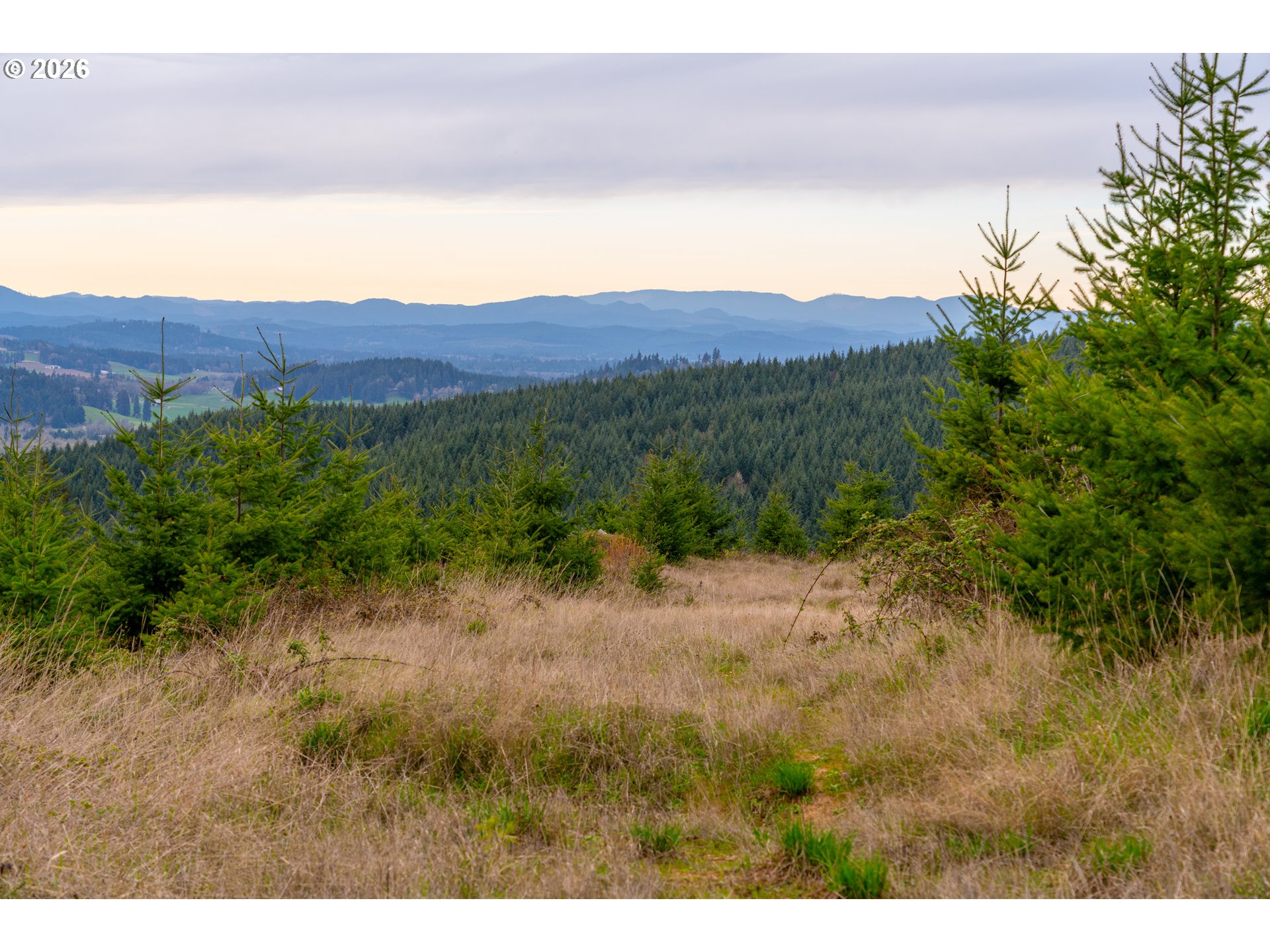 00 Erickson (TL300) RD UNIT 300, Eugene, OR, 97405