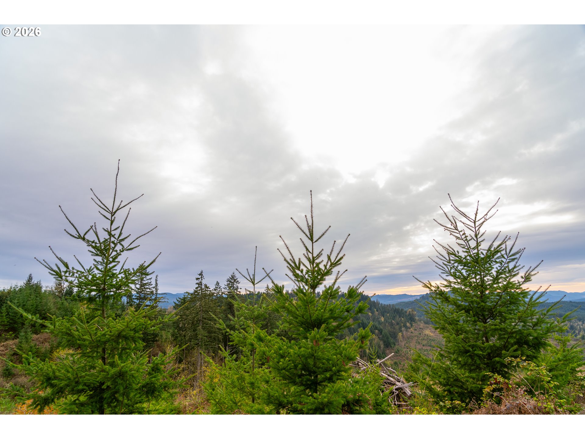 00 Erickson (TL300) RD UNIT 300, Eugene, OR, 97405