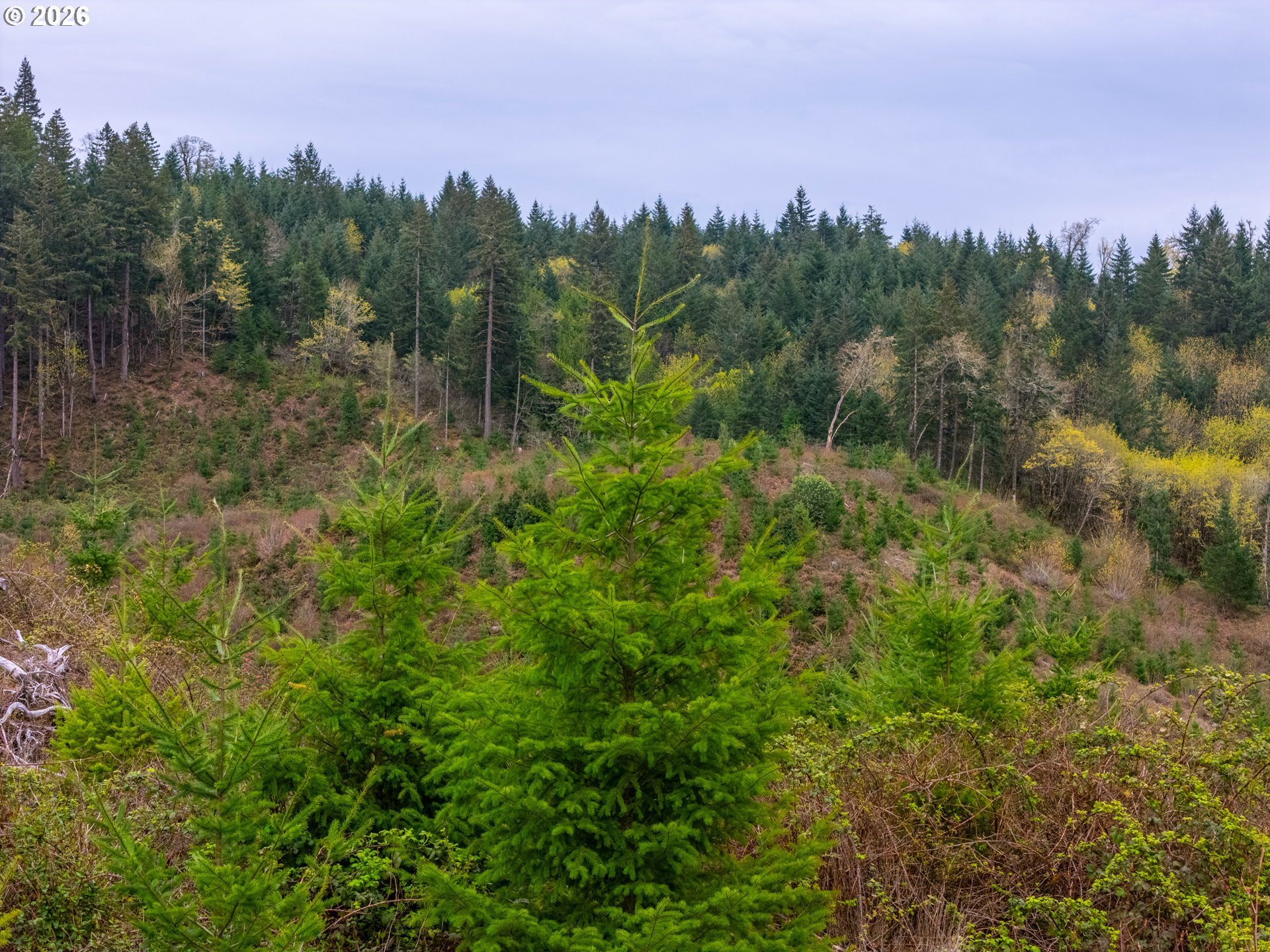 00 Erickson (TL300) RD UNIT 300, Eugene, OR, 97405