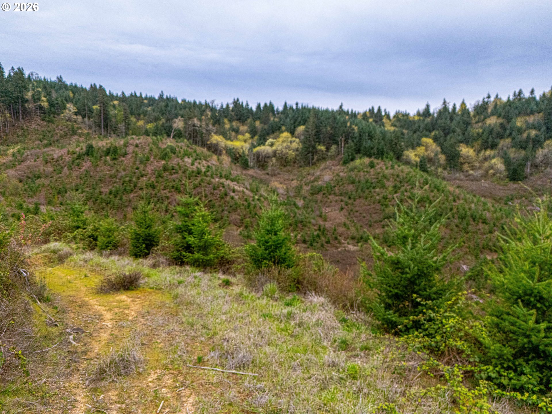 00 Erickson (TL300) RD UNIT 300, Eugene, OR, 97405