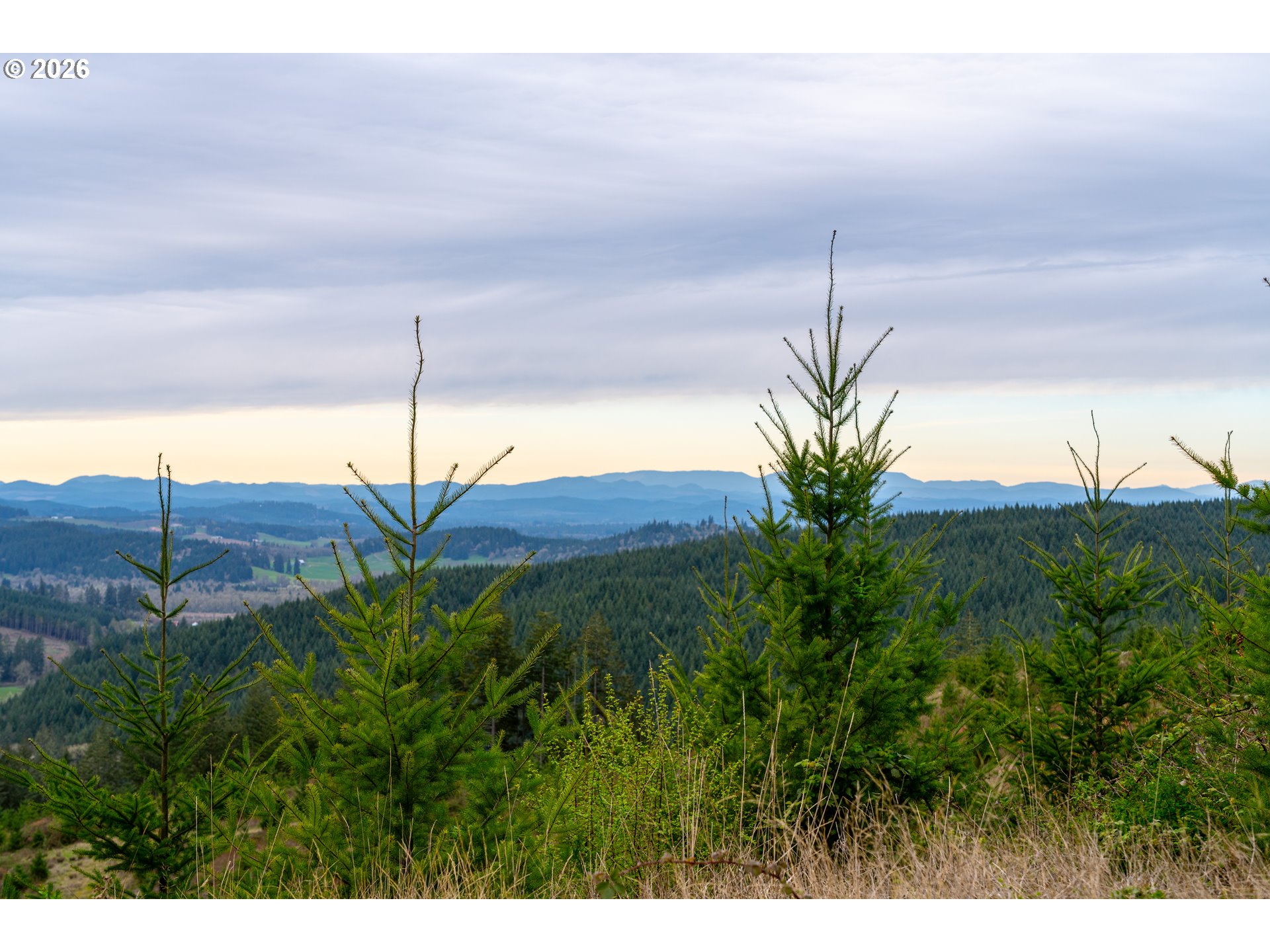 00 Erickson (TL300) RD UNIT 300, Eugene, OR, 97405