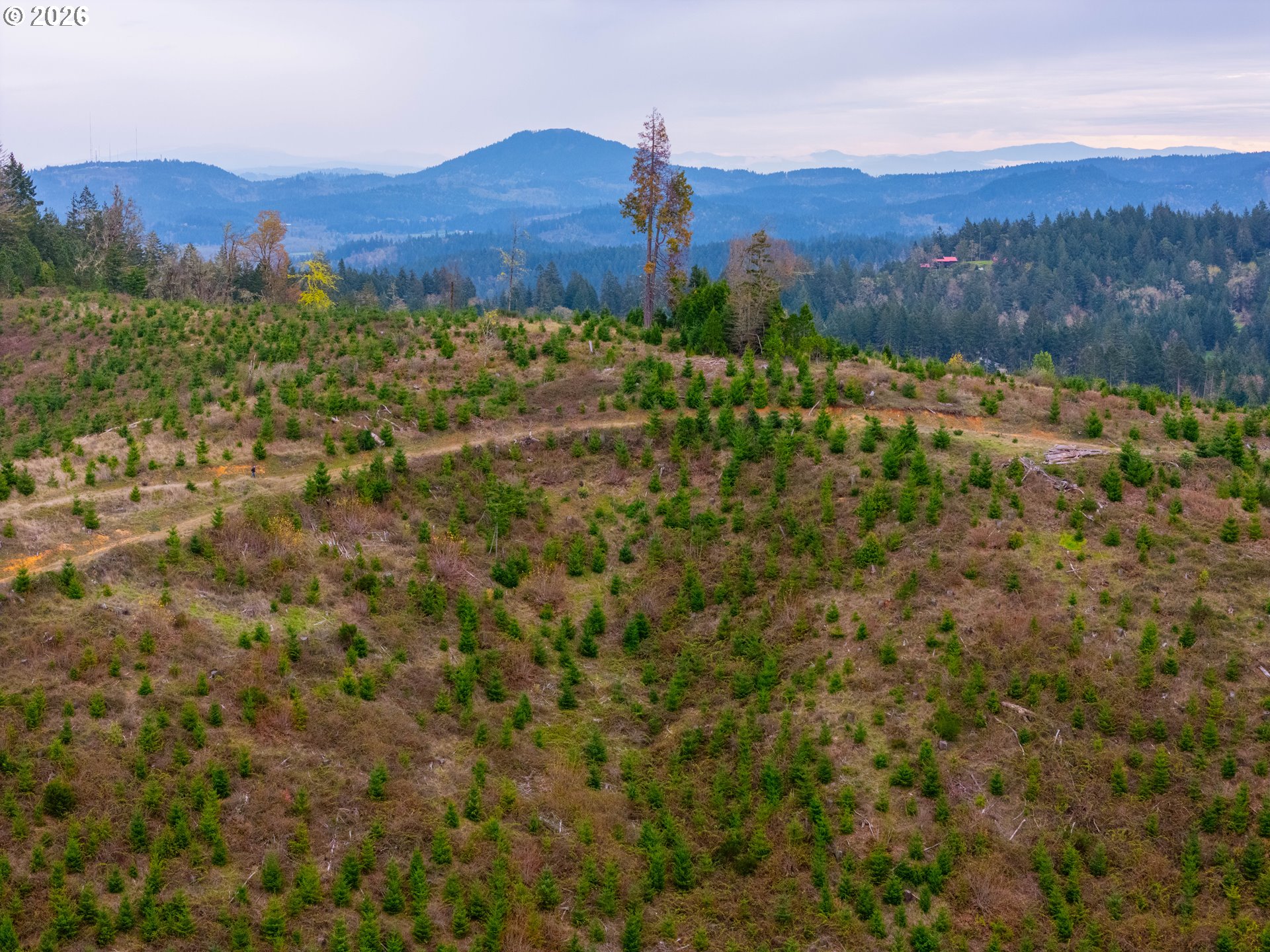 00 Erickson (TL300) RD UNIT 300, Eugene, OR, 97405