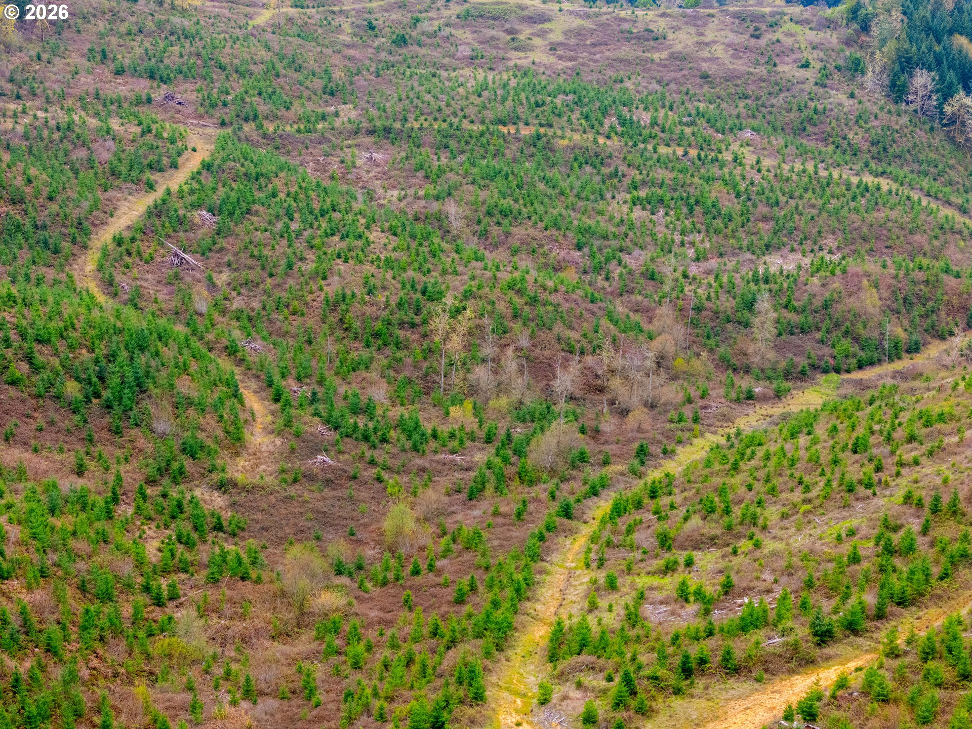 00 Erickson (TL300) RD UNIT 300, Eugene, OR, 97405