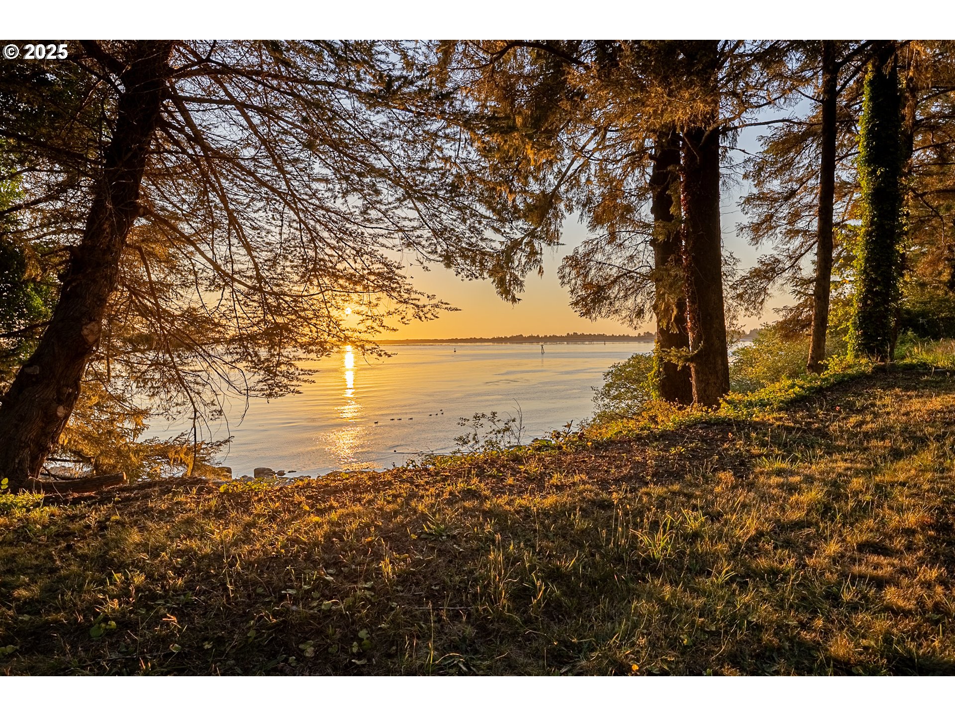 168 150 N CLEVELAND ST, Eugene, OR, 97402