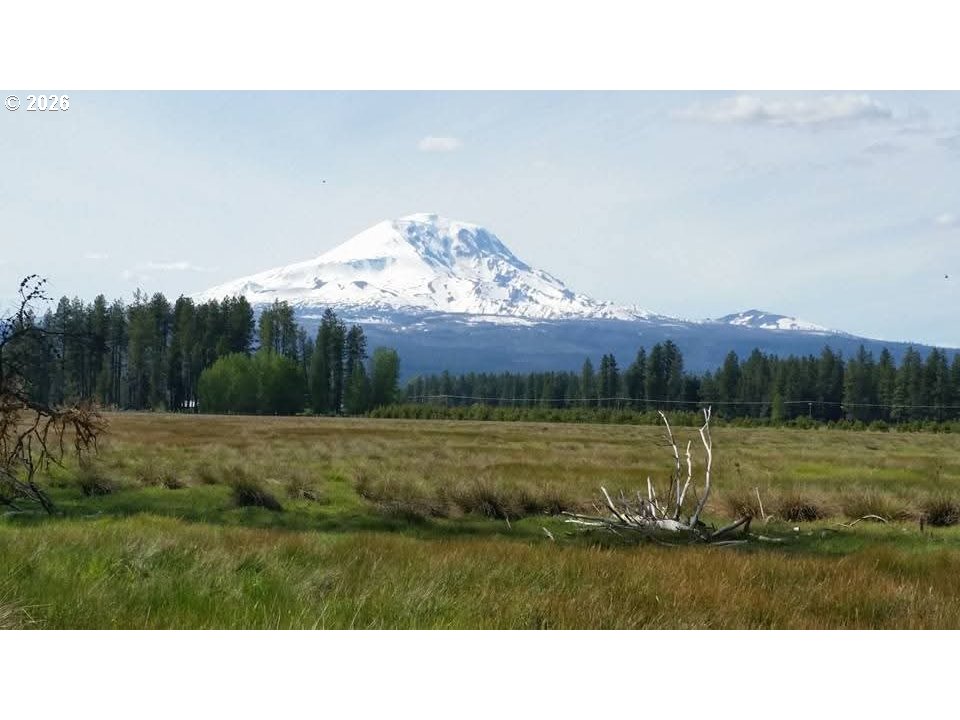 Search Homes for Sale