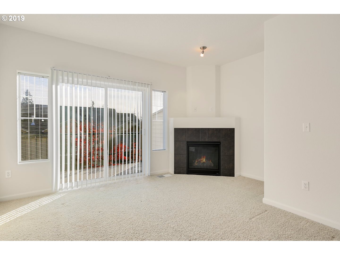 Photo #4: 19009803 Listing 