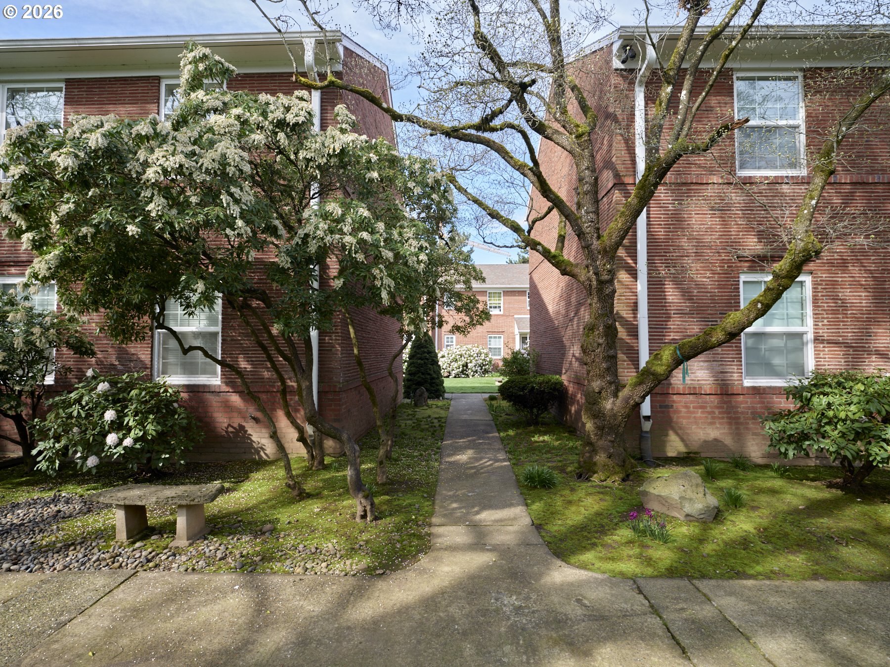 Photo #7: 190703740 Listing: Photo #7