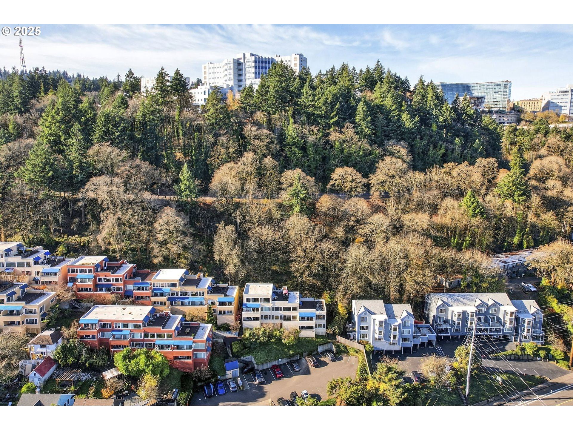 Photo #2: 190705068 Listing: Photo #2