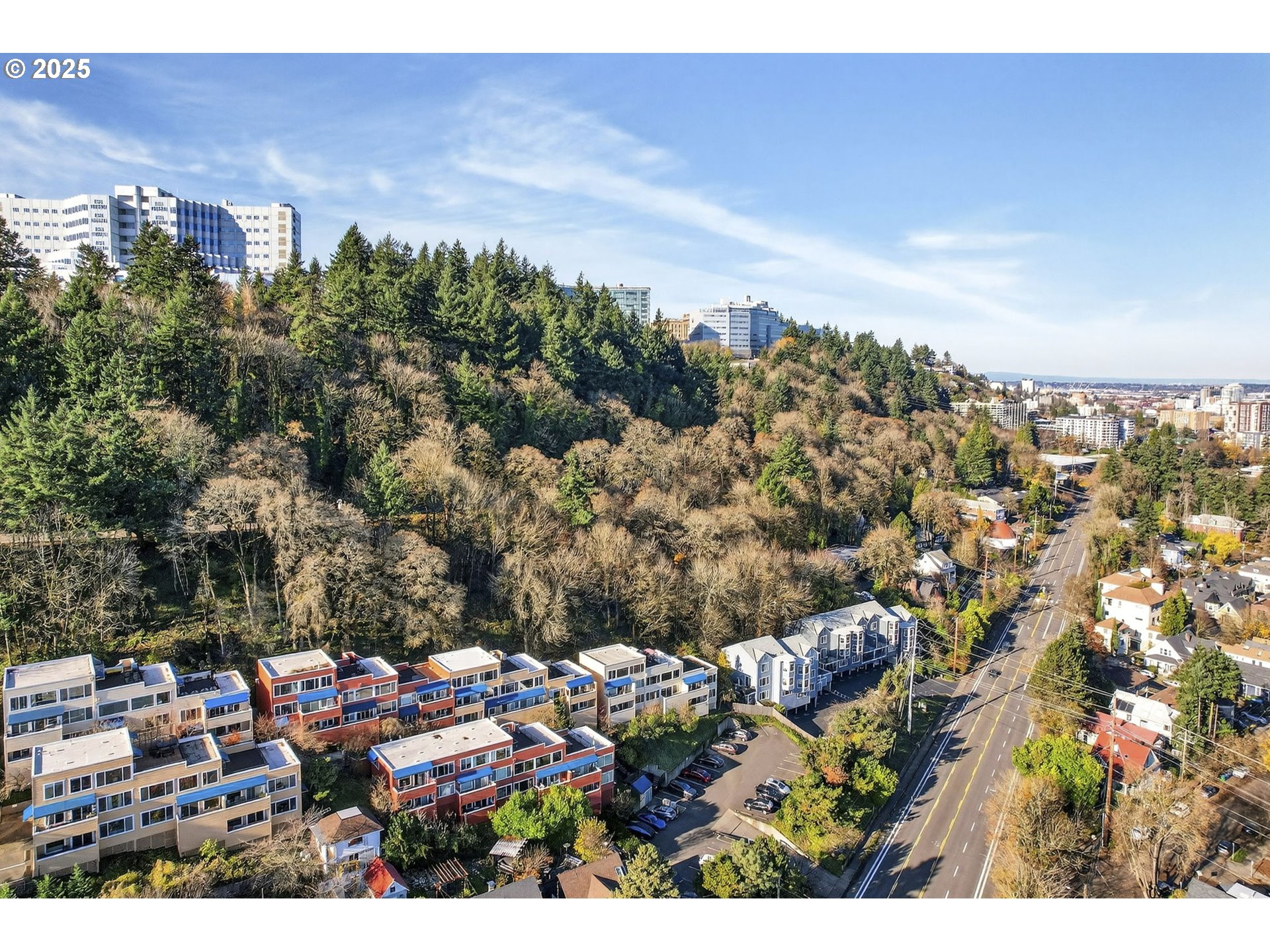 Photo #3: 190705068 Listing: Photo #3