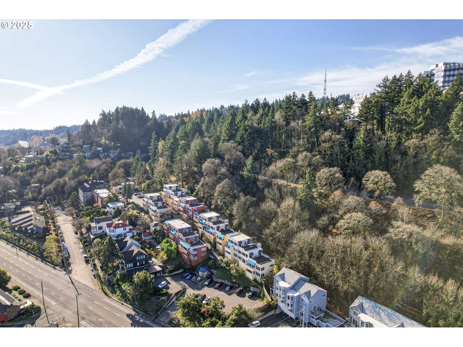 Photo #4: 190705068 Listing: Photo #4