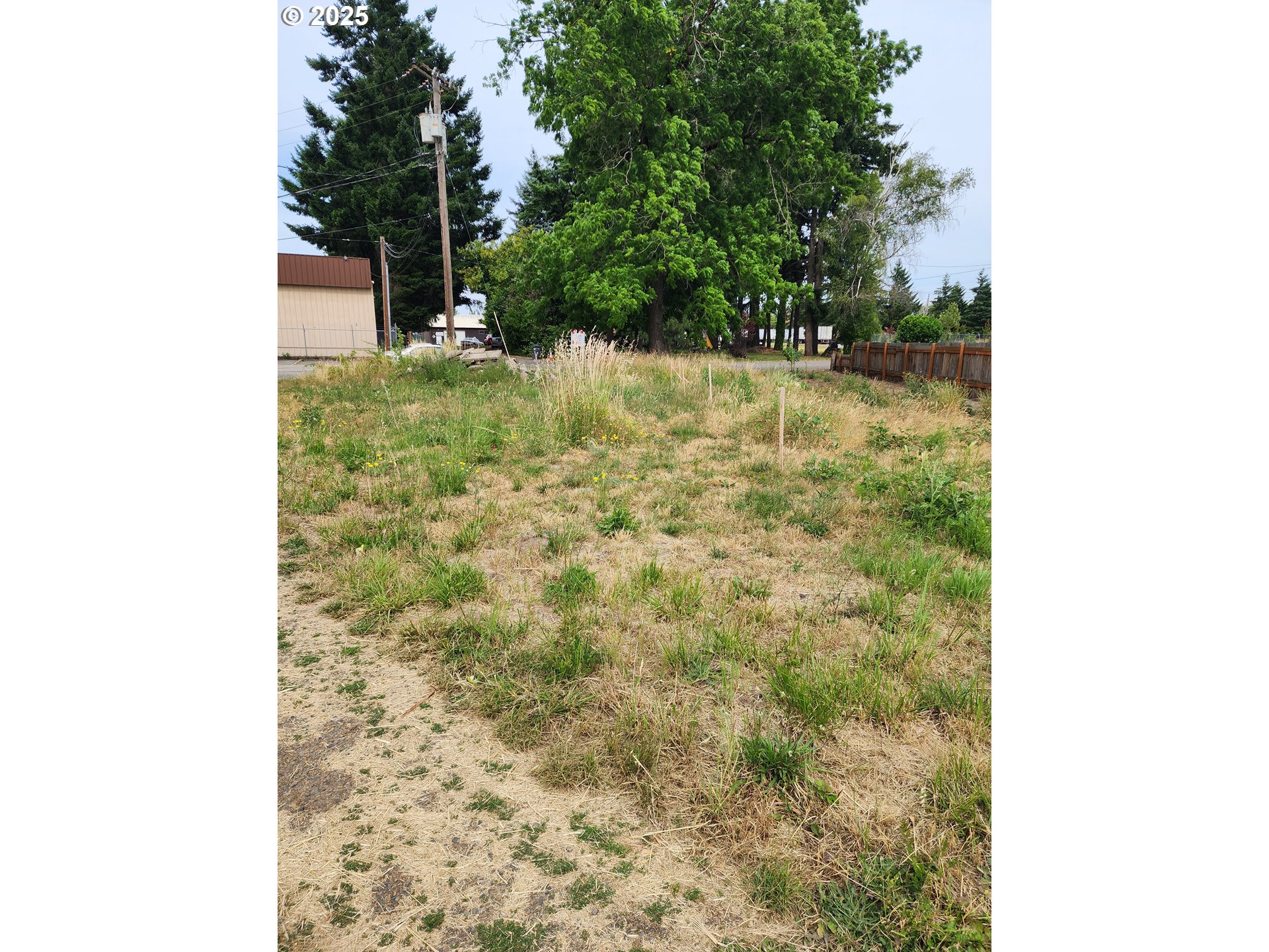 Search Homes for Sale