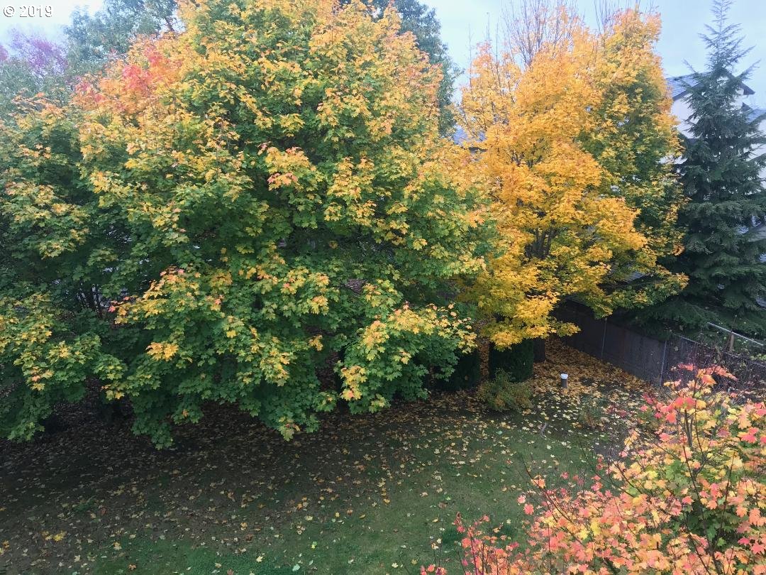 Photo #4: 19192604 Listing 