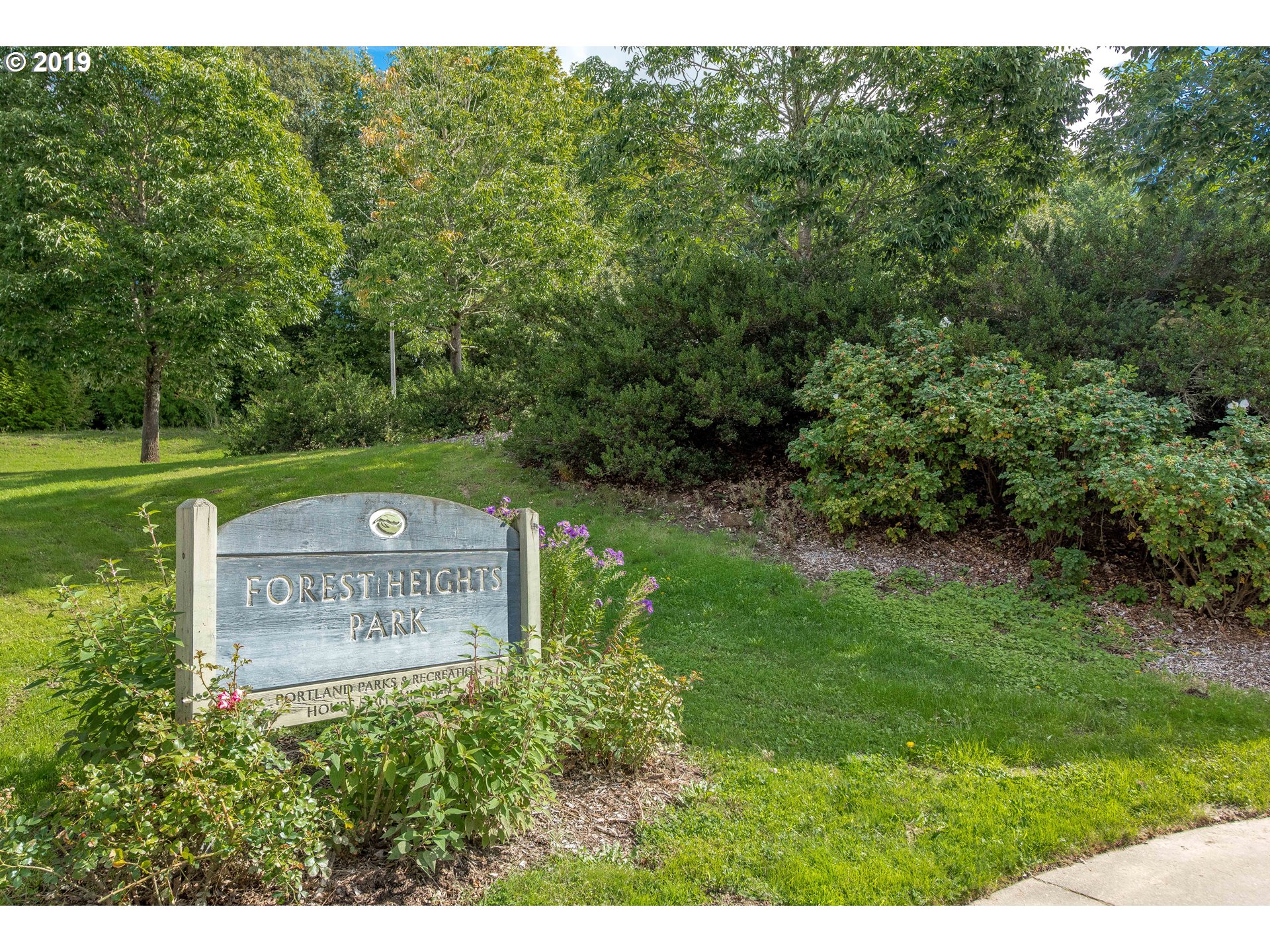 Photo #5: 19444413 Listing 