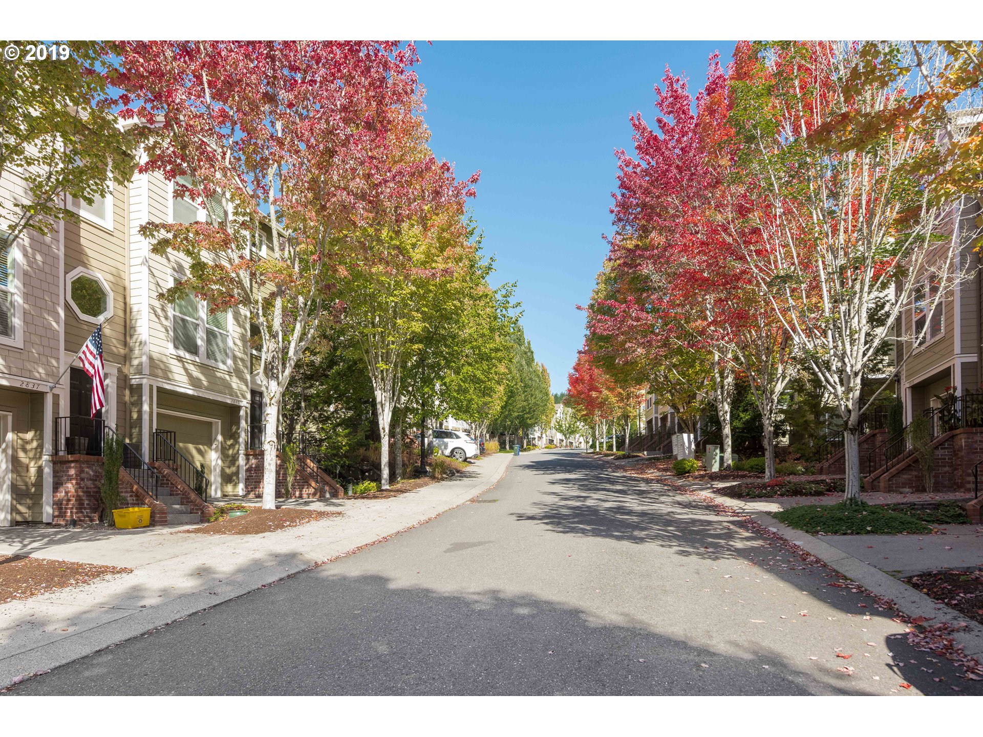 Photo #4: 19444413 Listing 